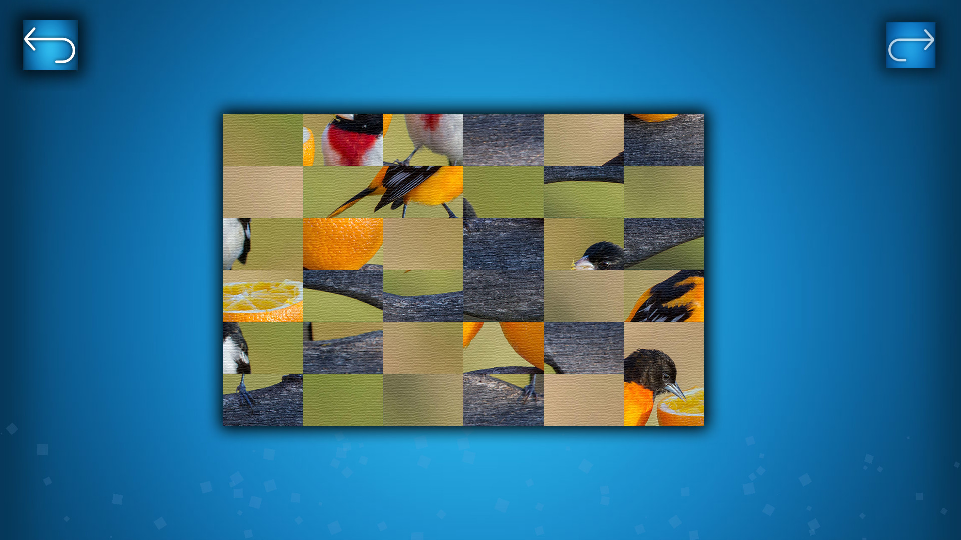 PUZZLE: BIRDS screenshot