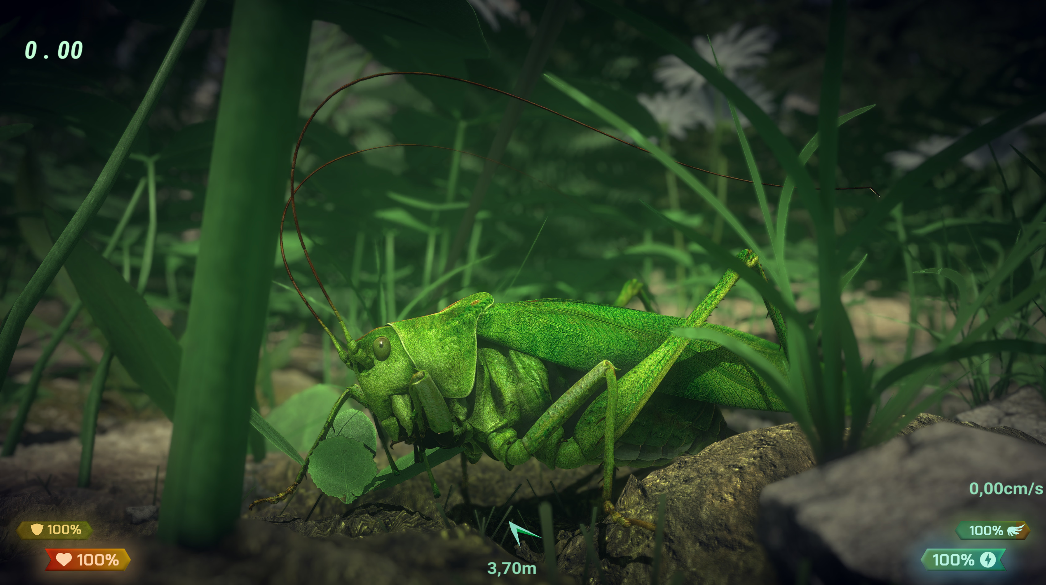Insect Worlds screenshot