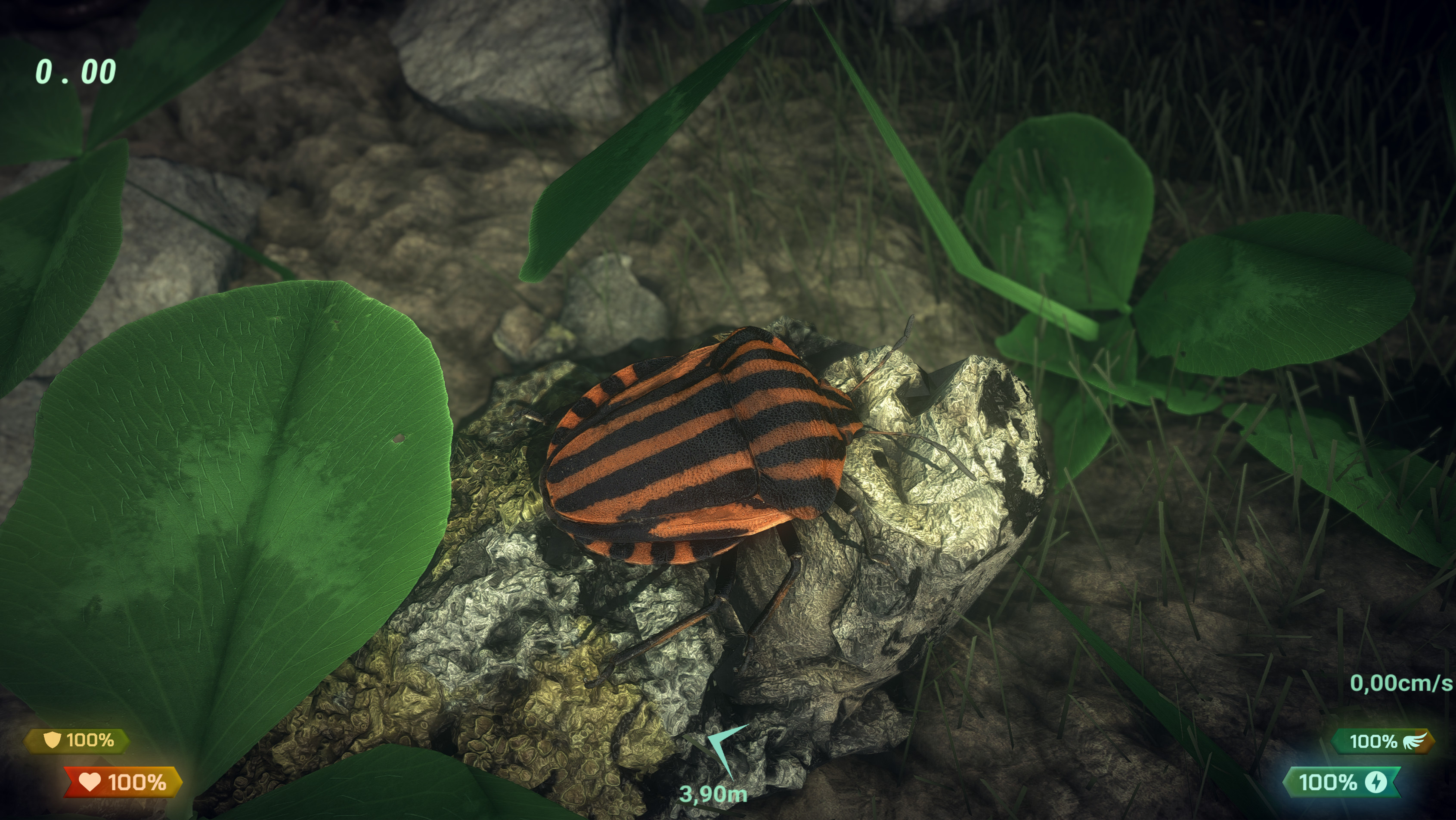Insect Worlds screenshot