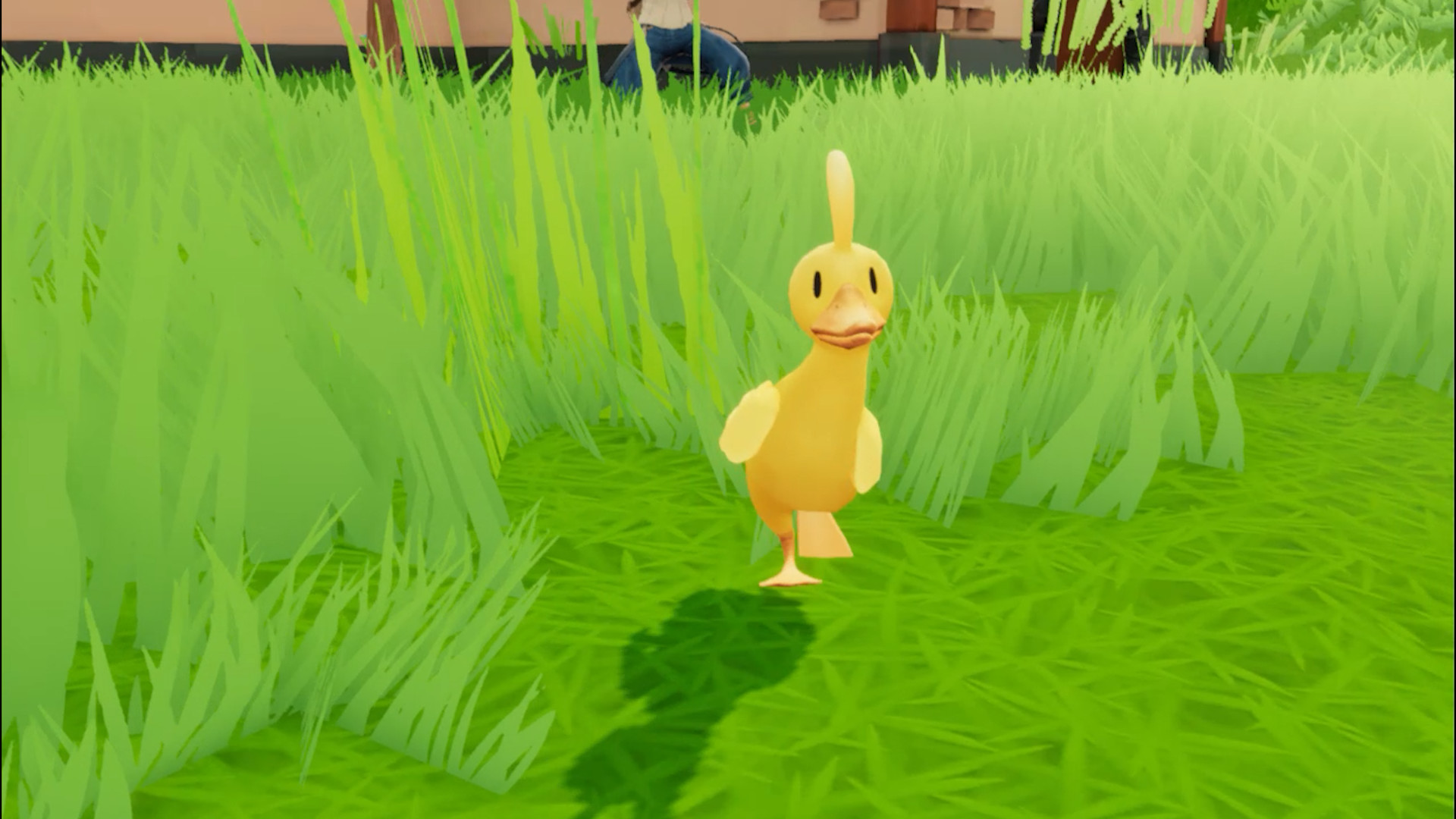 What The Duck screenshot