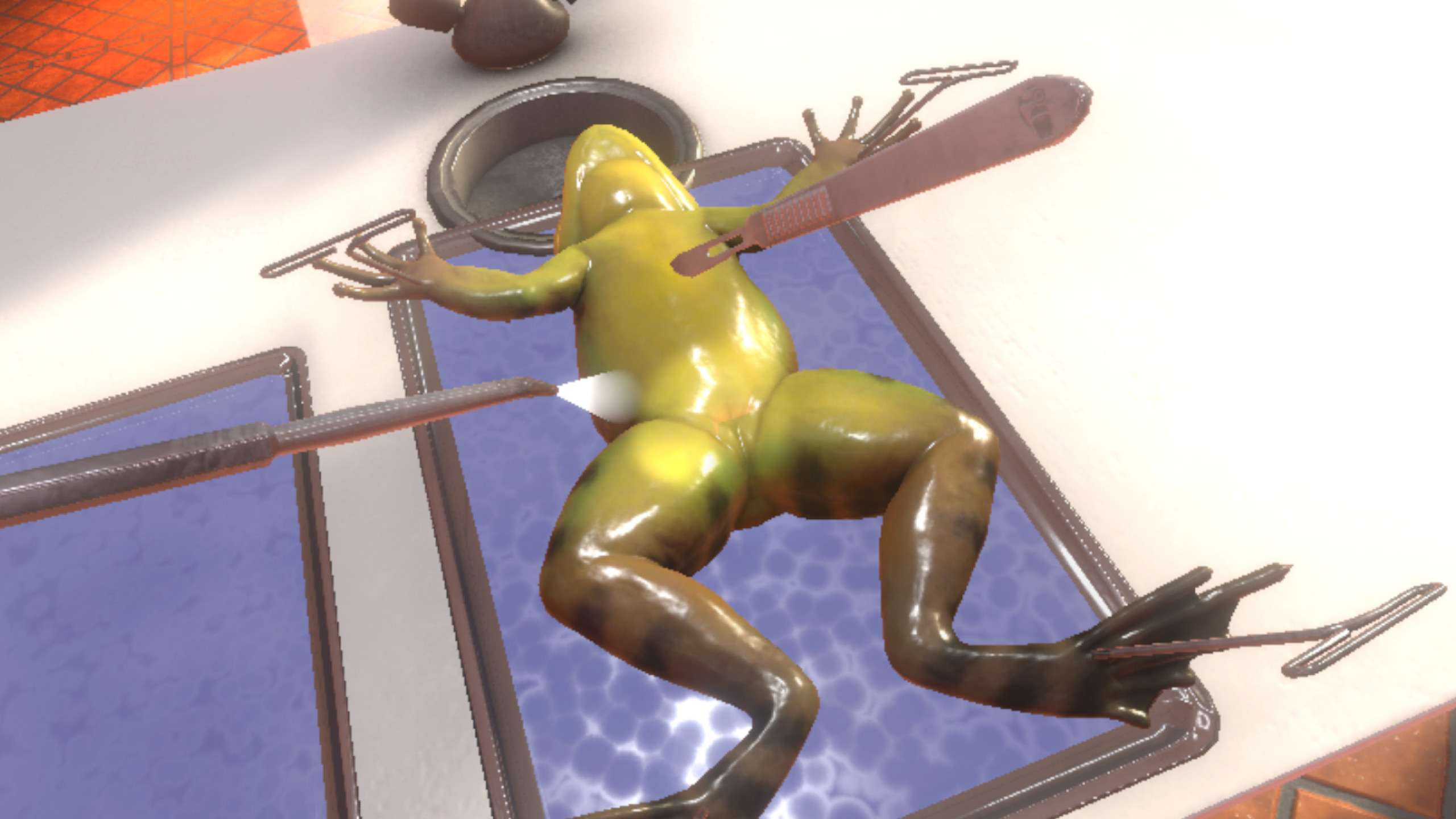 Dissection Simulator: Frog Edition screenshot