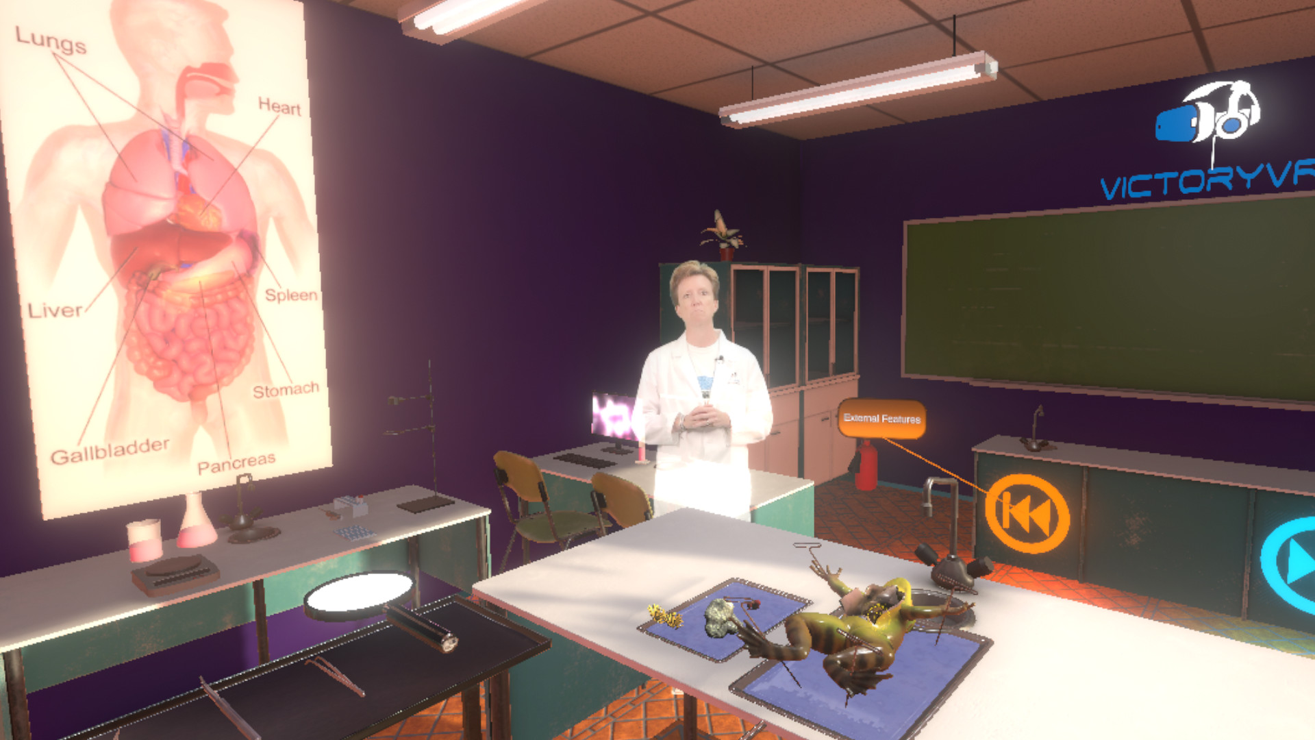 Dissection Simulator: Frog Edition screenshot
