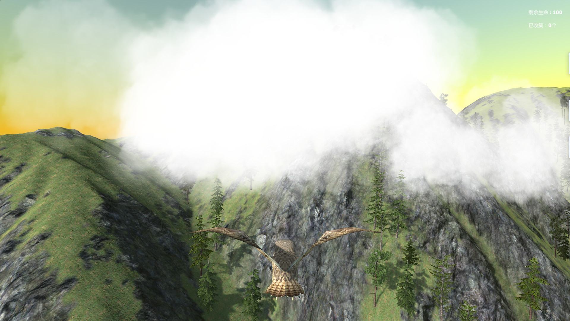 Lonely owl screenshot