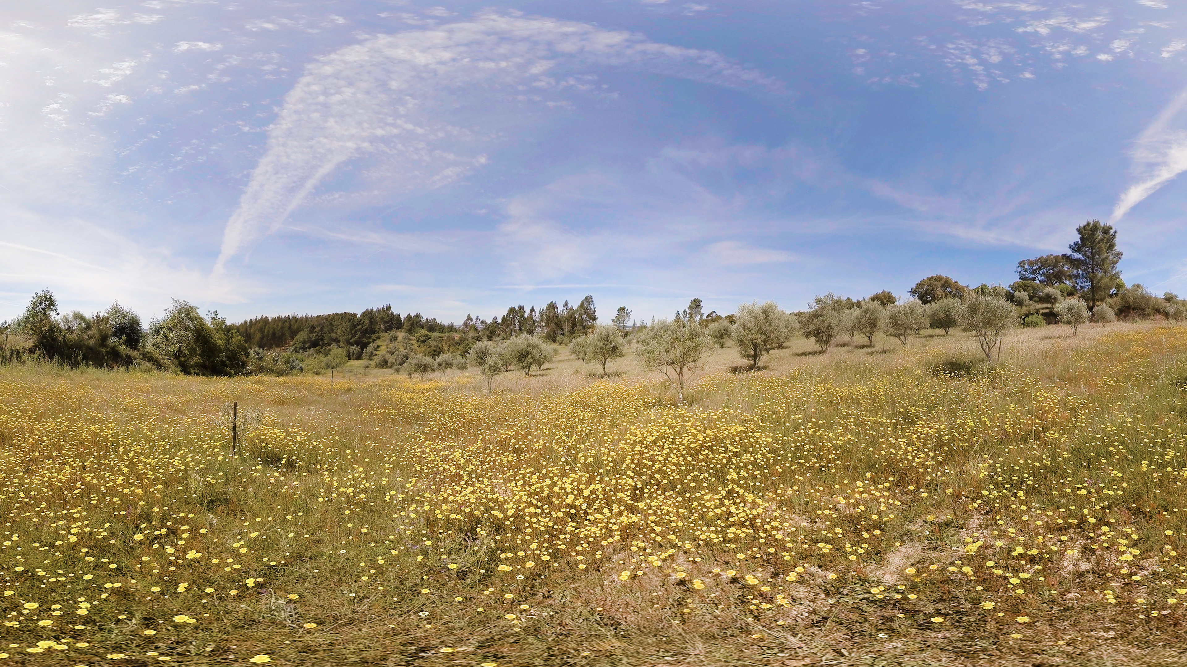 Portugal | Sphaeres VR Experience | 360° Video | 6K/2D screenshot
