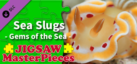 Jigsaw Masterpieces : Sea Slugs - Gems of the Sea -