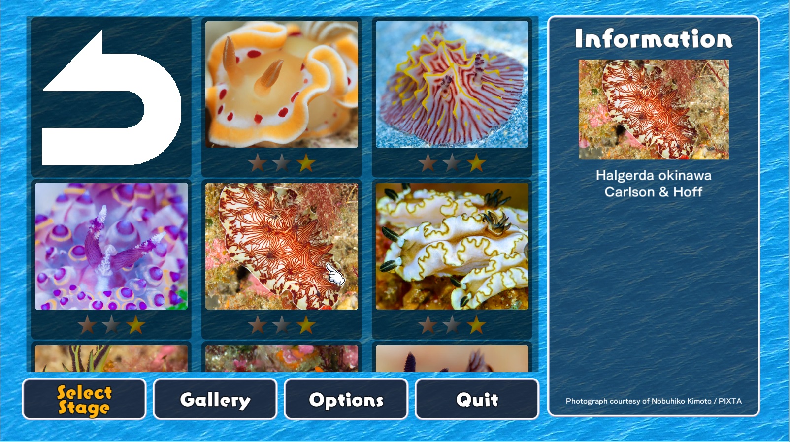 Jigsaw Masterpieces : Sea Slugs - Gems of the Sea - screenshot