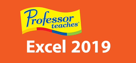 Professor Teaches Excel 2019