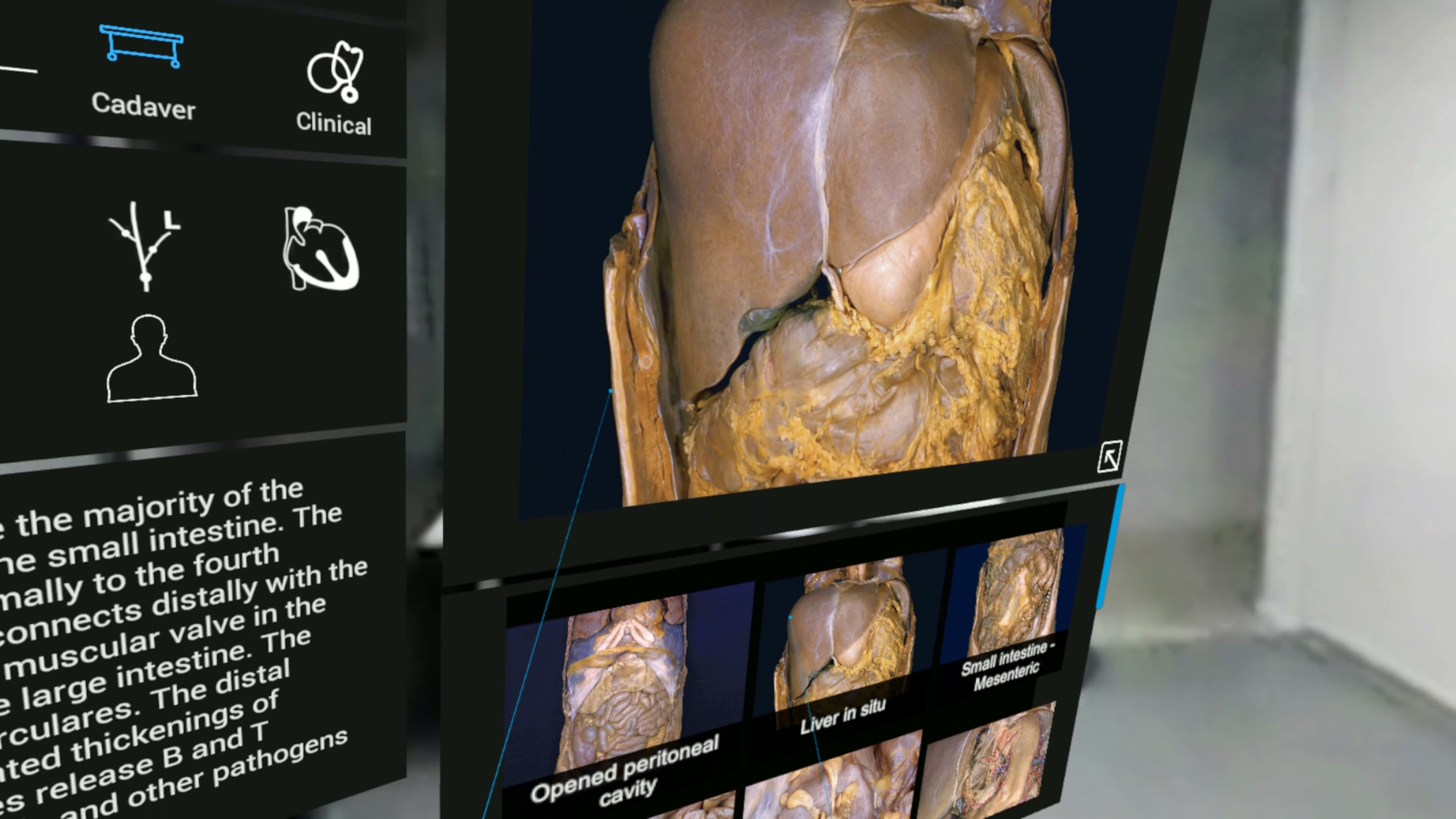 3D Organon VR Anatomy screenshot