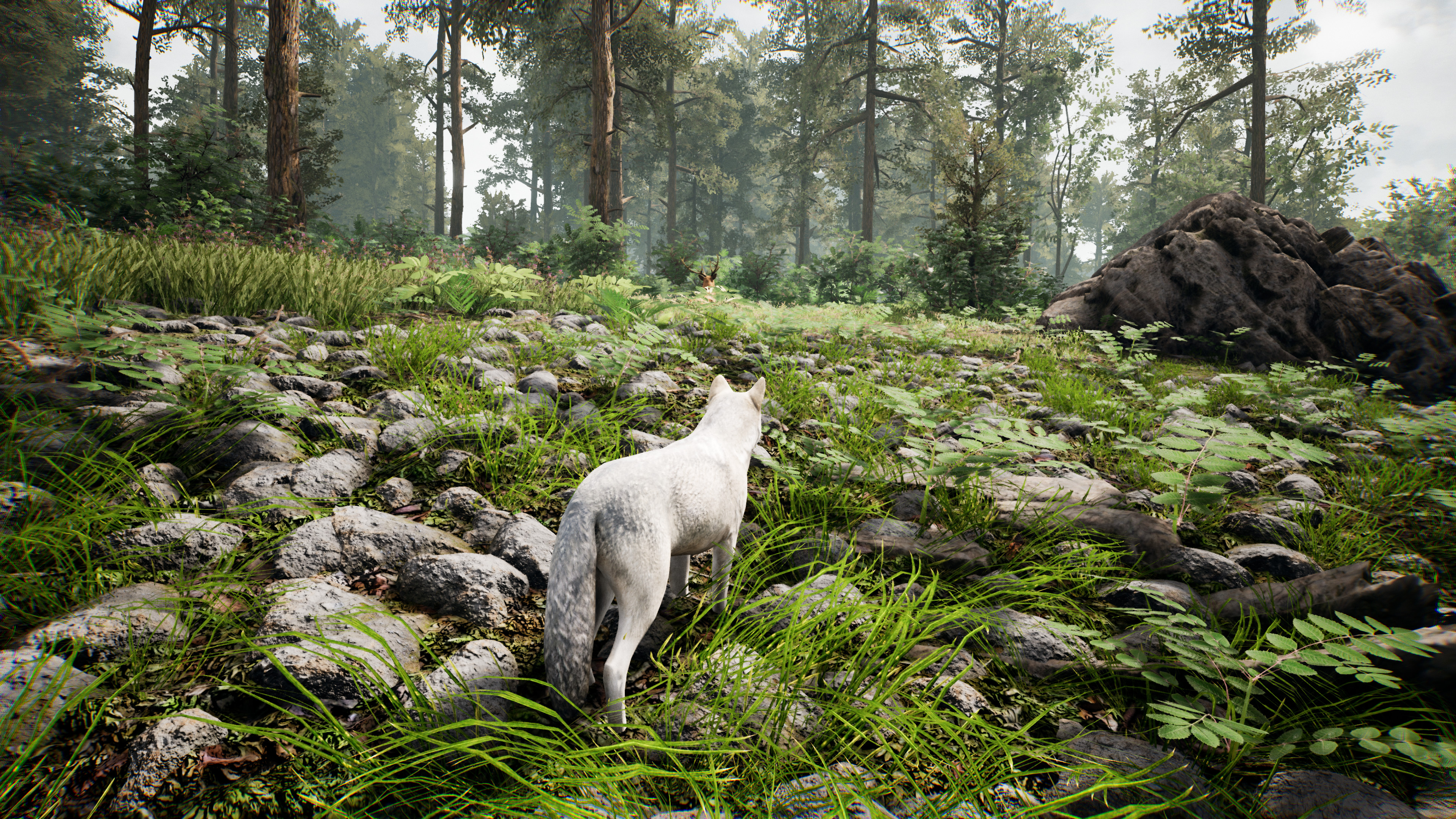Spirit screenshot