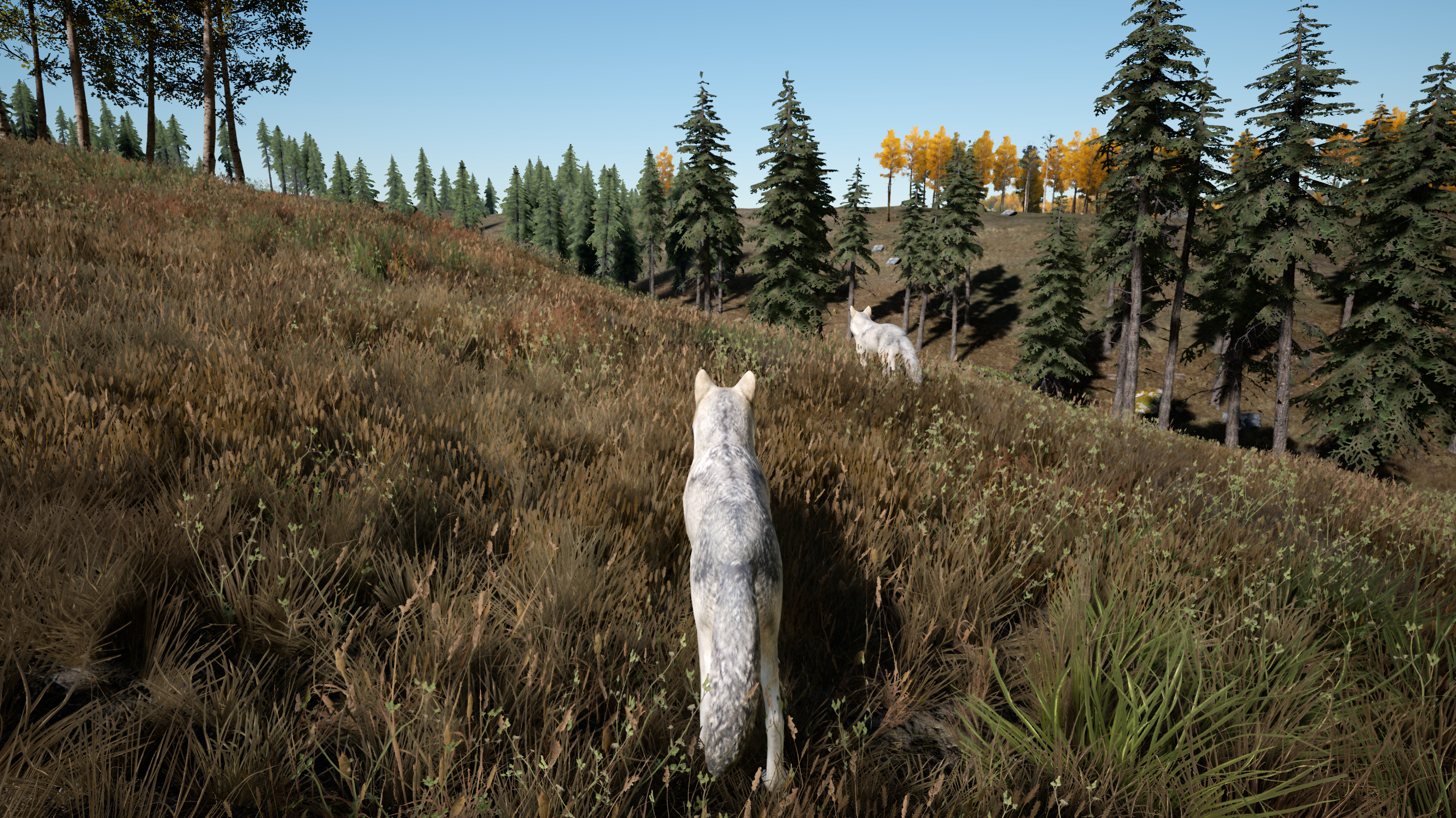 Spirit screenshot