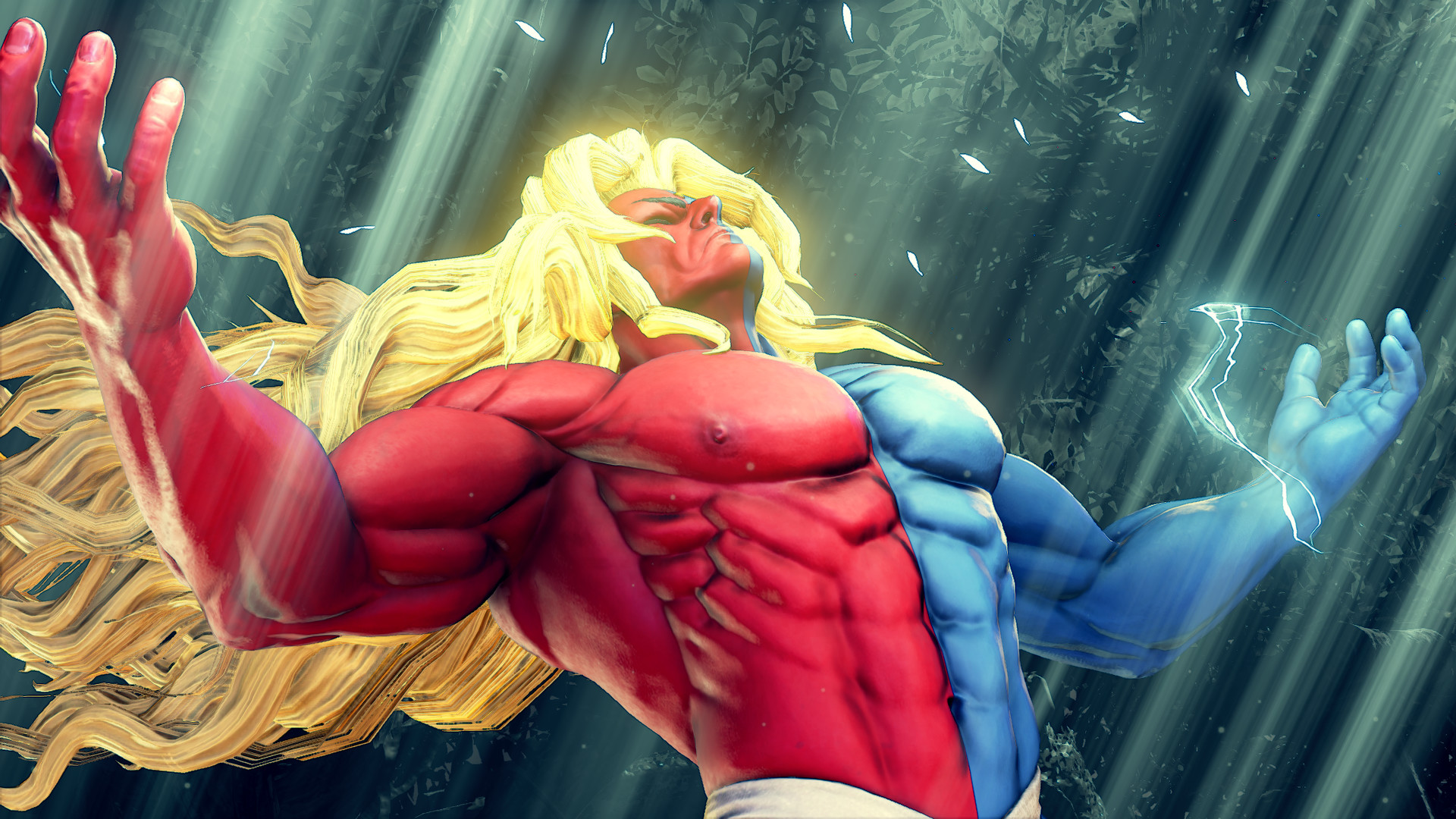 Street Fighter V - Champion Edition Upgrade Kit screenshot