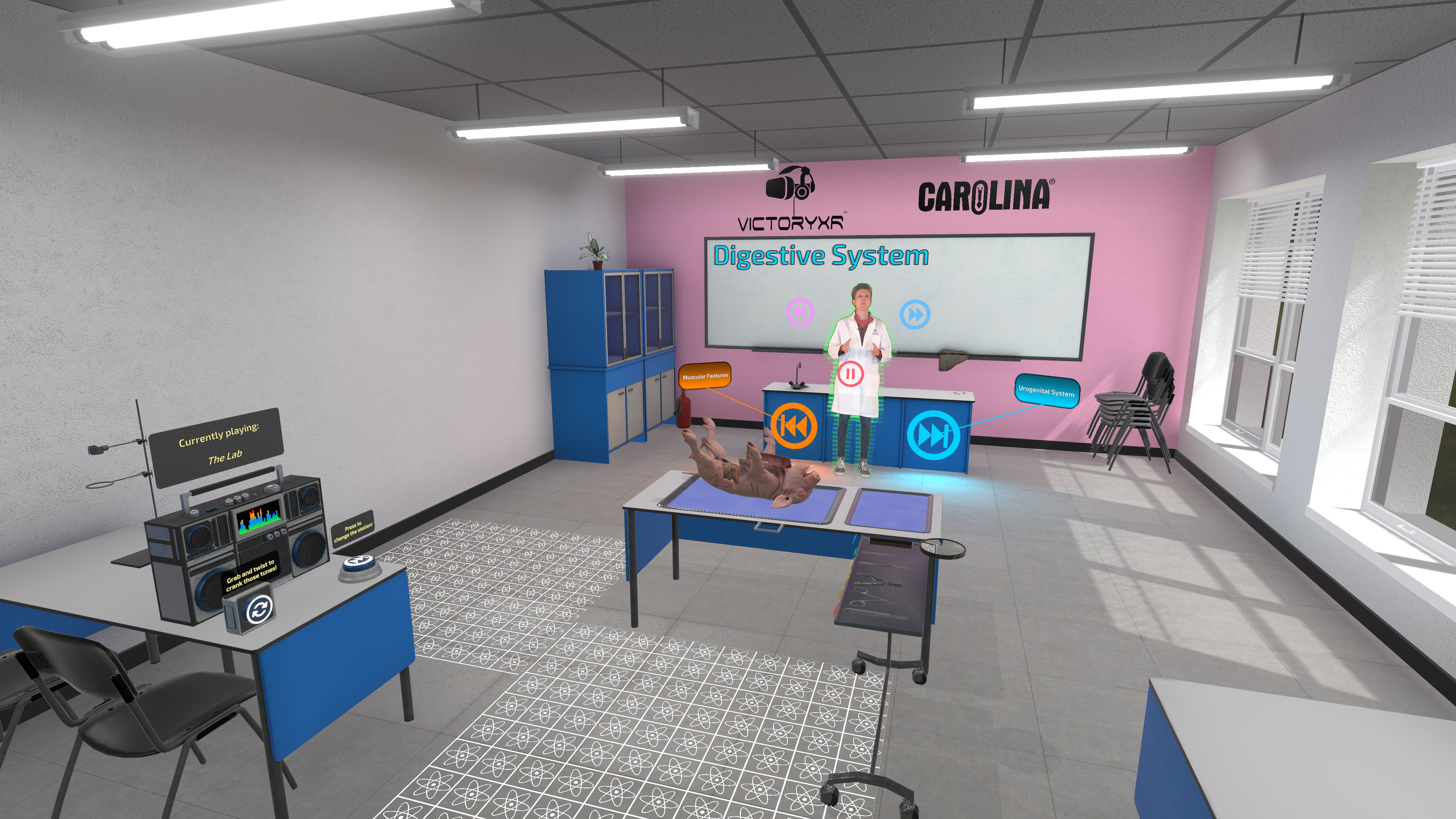 Dissection Simulator: Pig Edition screenshot