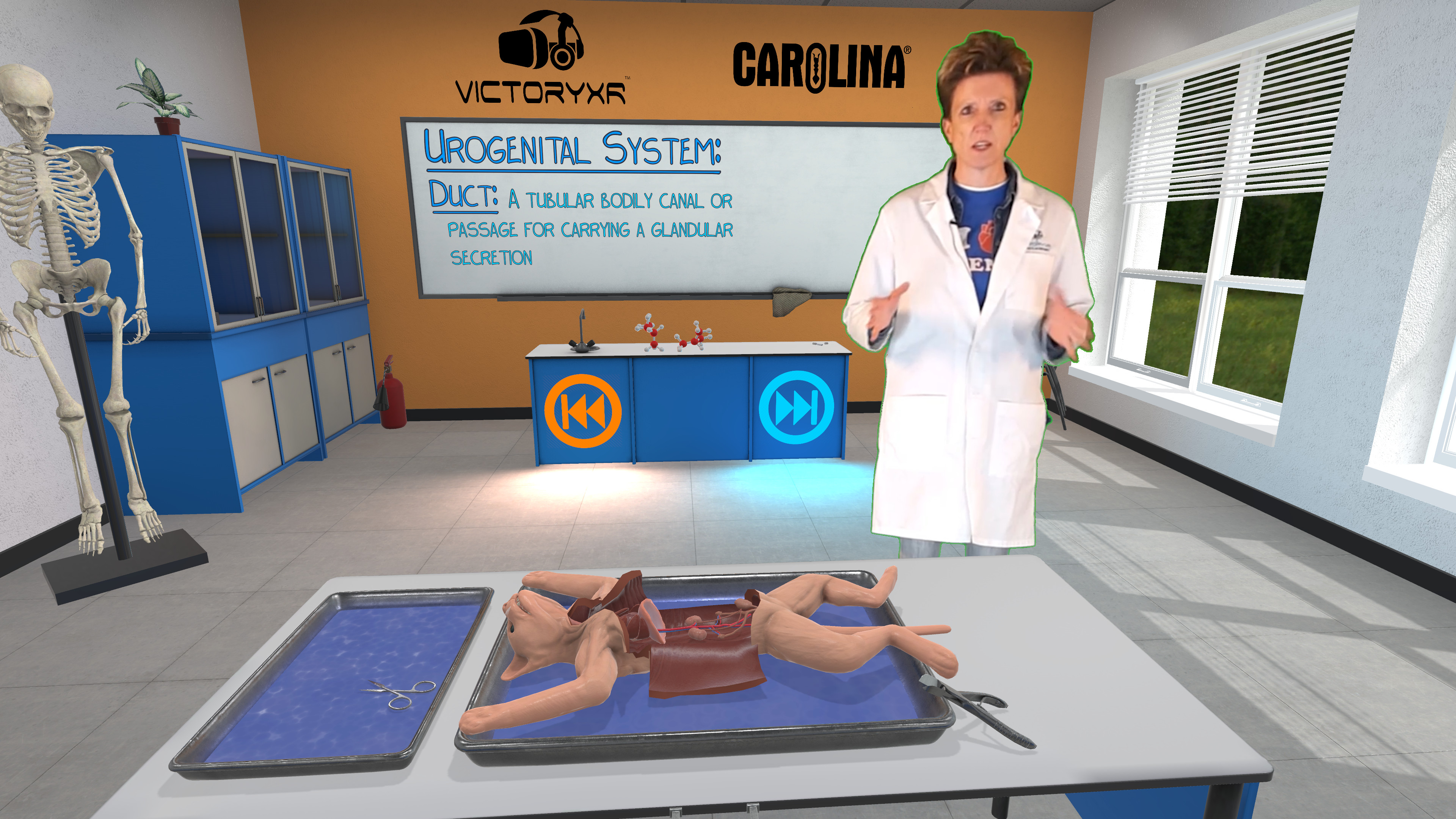 Dissection Simulator: Feline Edition screenshot