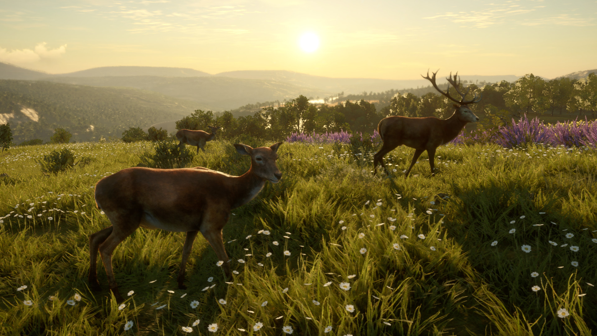 theHunter: Call of the Wild - Cuatro Colinas Game Reserve screenshot