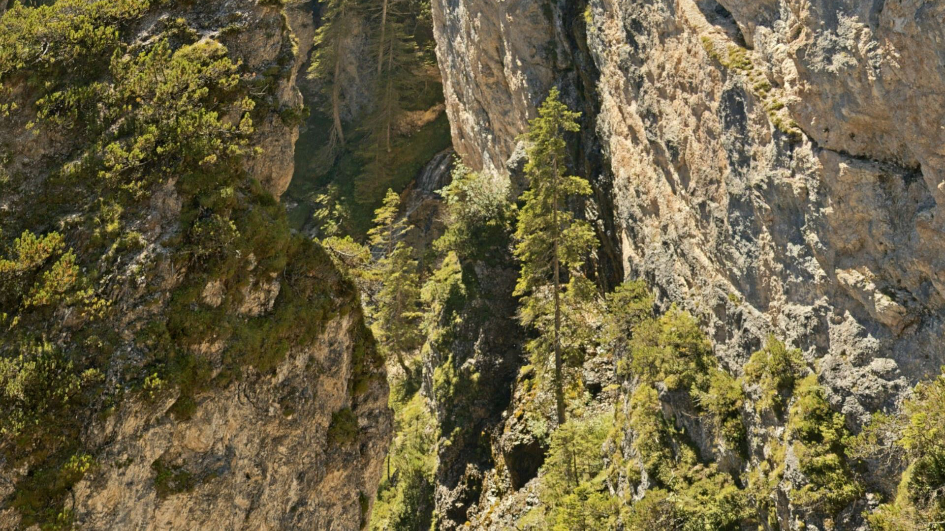 VR Gigapixel Gallery screenshot