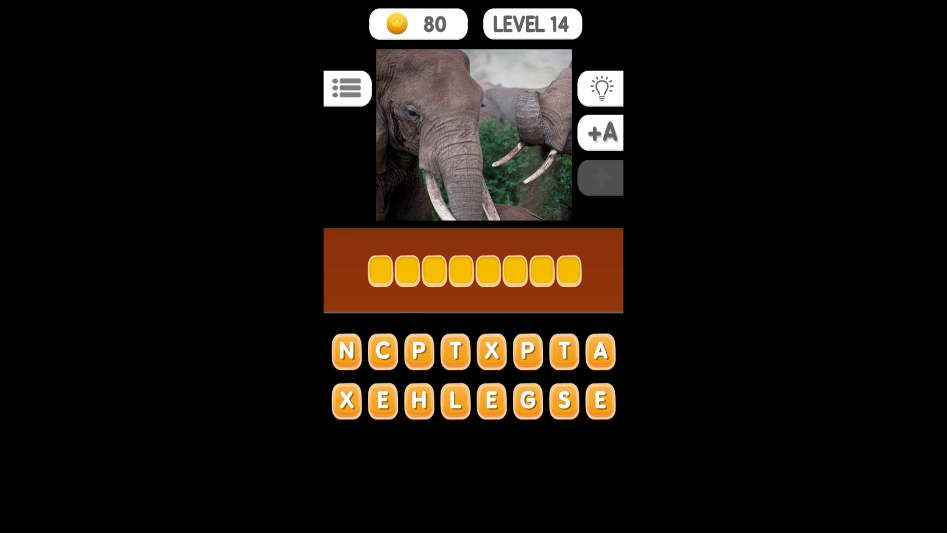 Photo Quiz - Animals screenshot