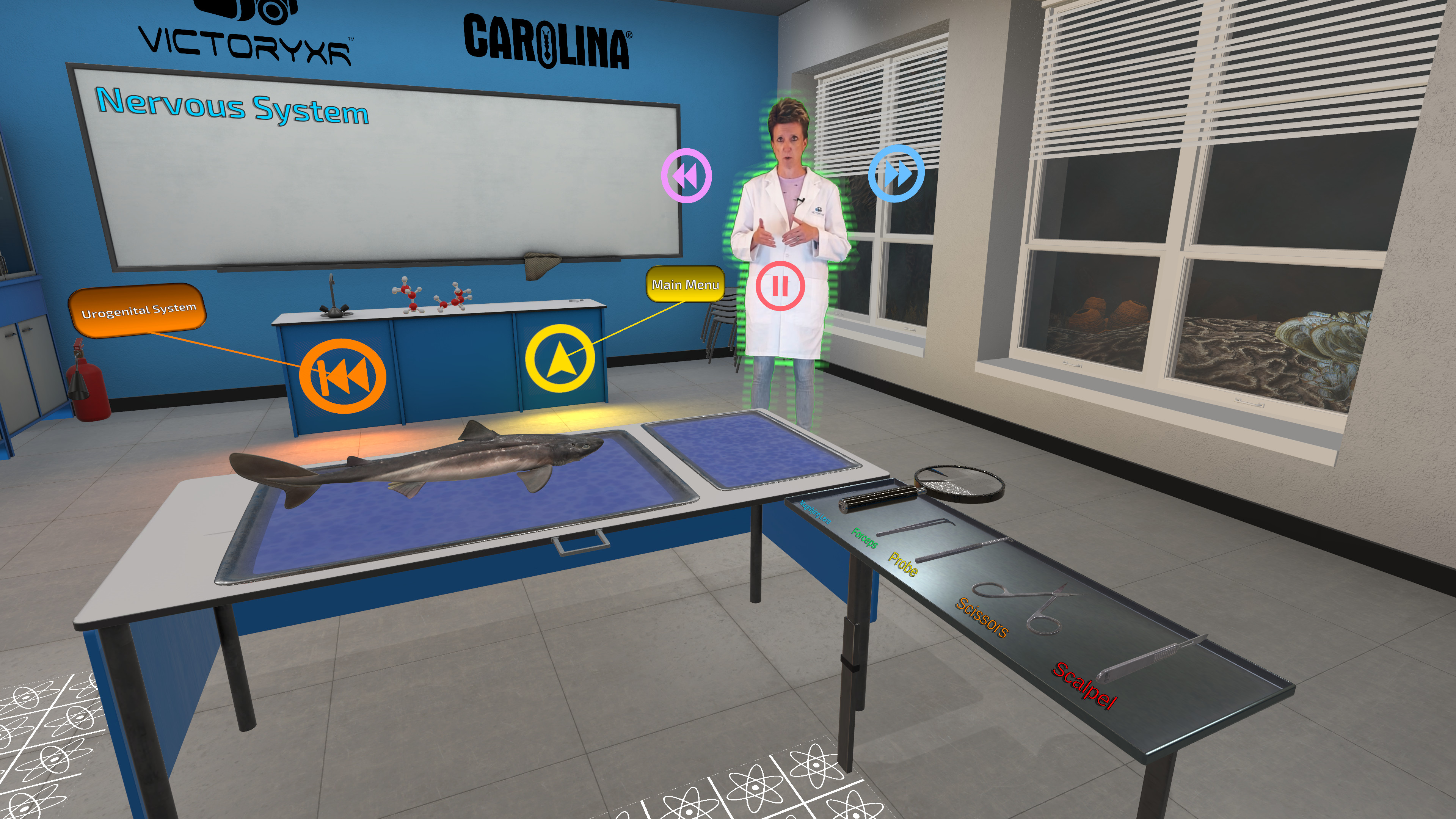 Dissection Simulator: Dogfish Edition screenshot
