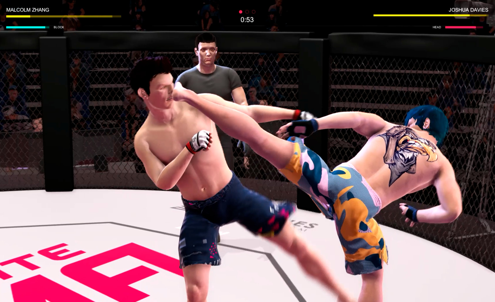 Ultimate MMA screenshot