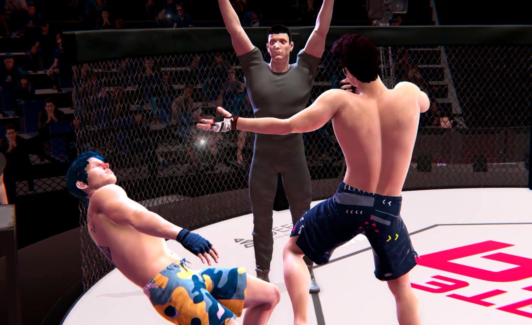 Ultimate MMA screenshot