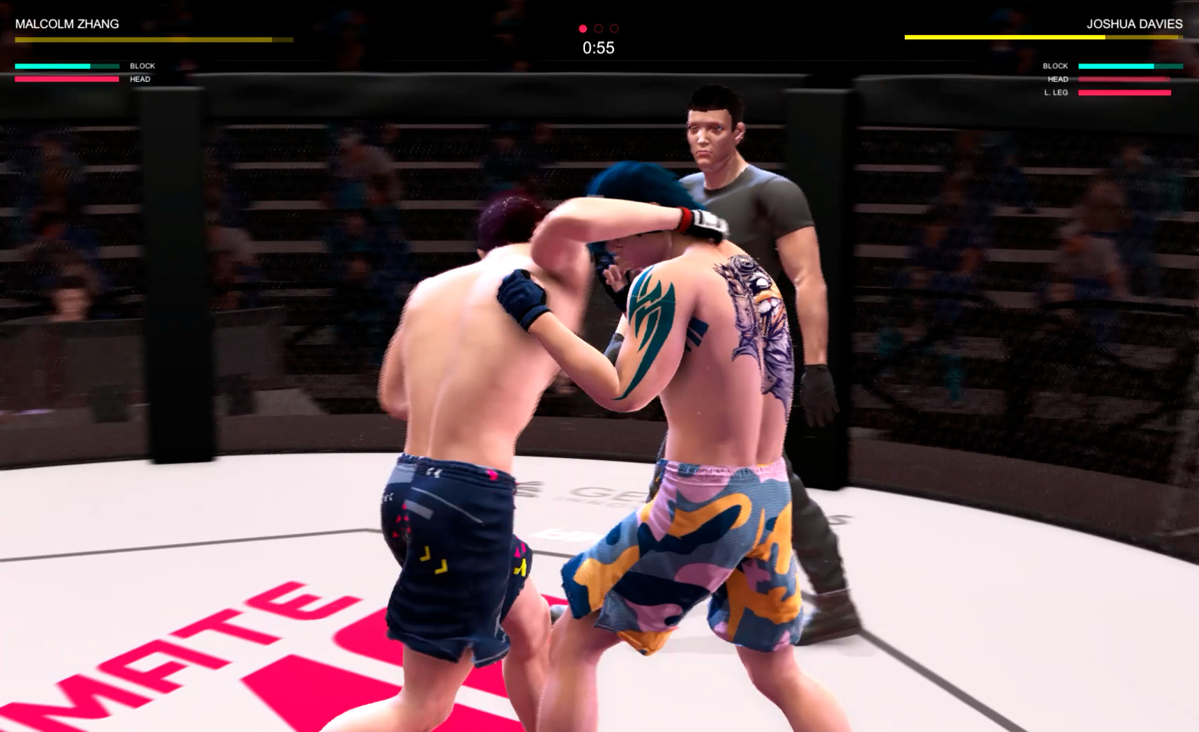 Ultimate MMA screenshot