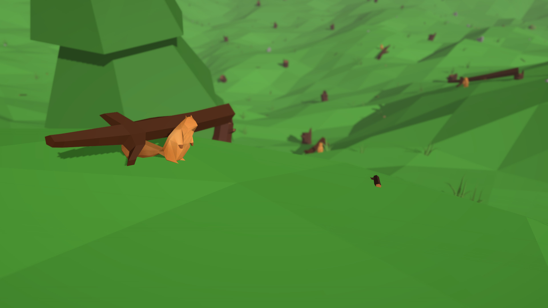 Squirrel Forest screenshot