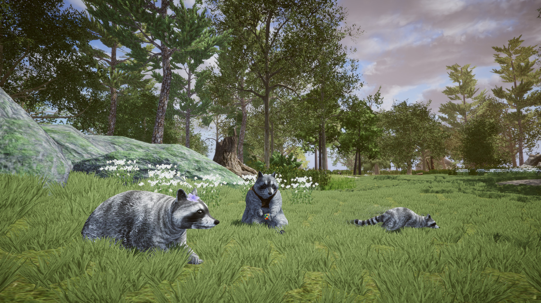 Wanted Raccoon screenshot