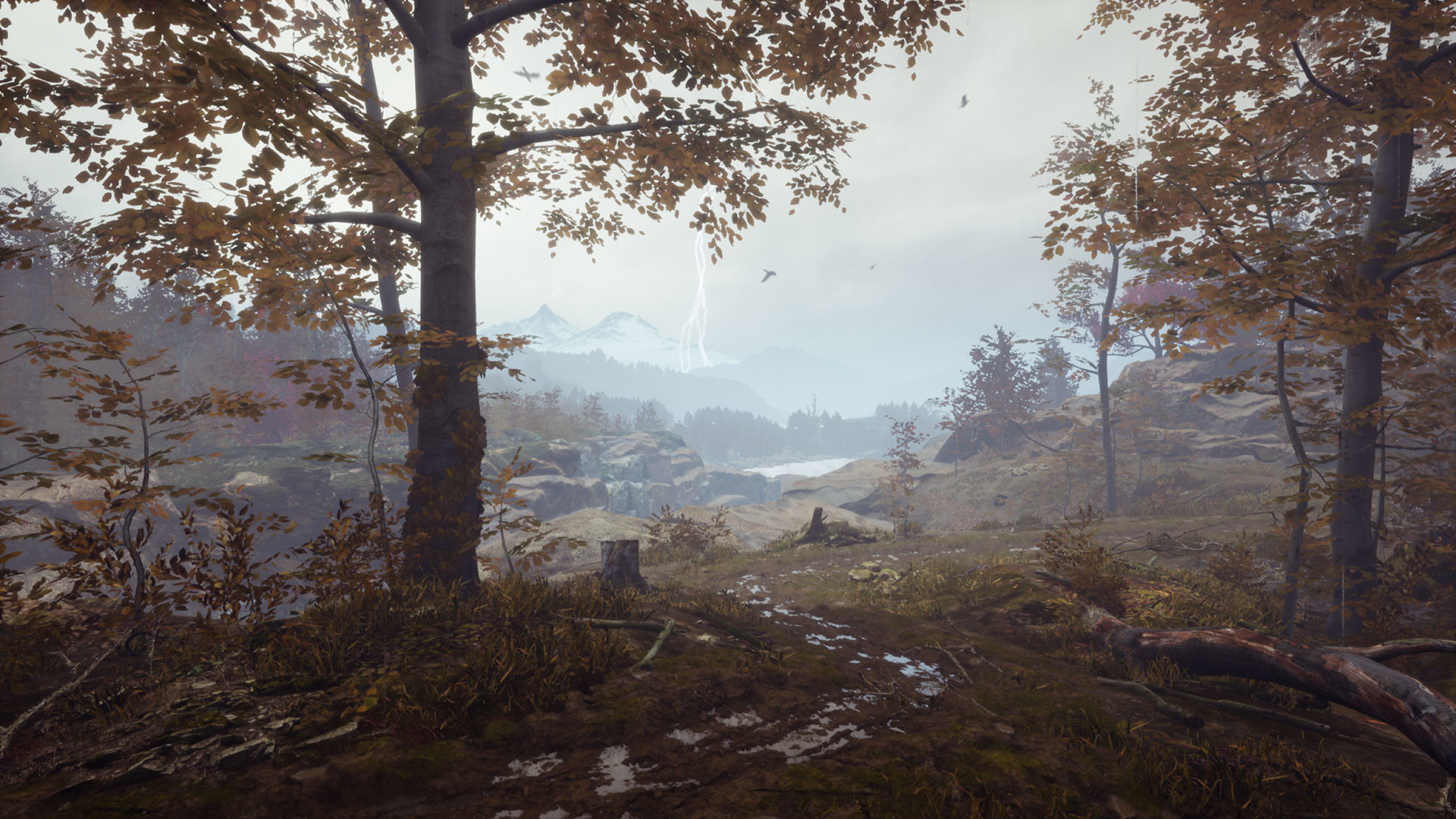 Pluviophile screenshot