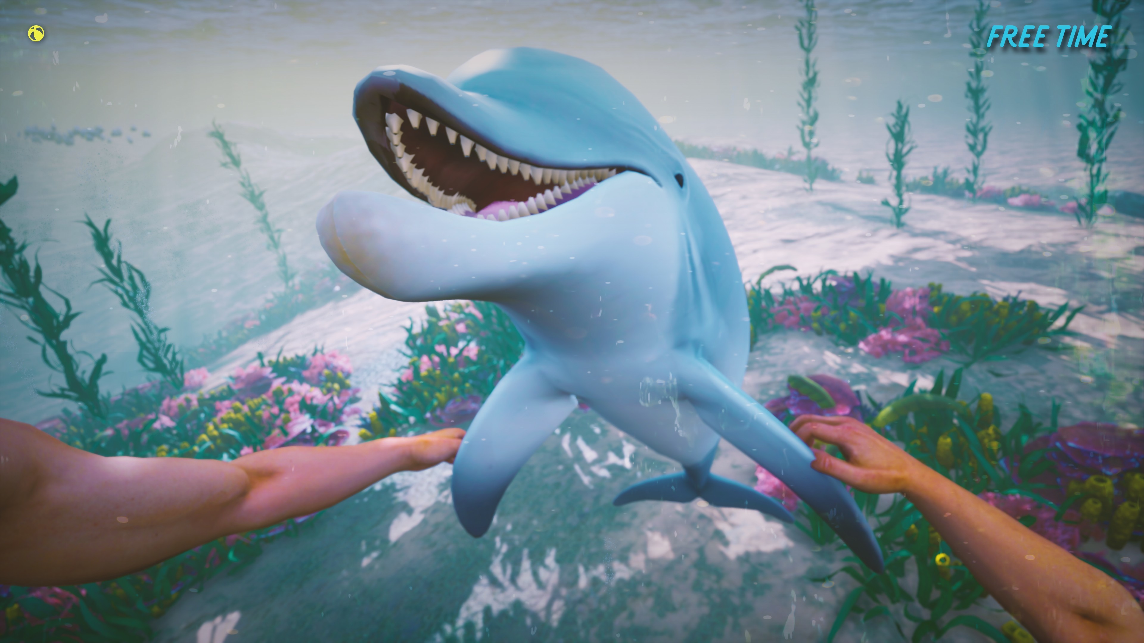Dolphin Trainer VR screenshot