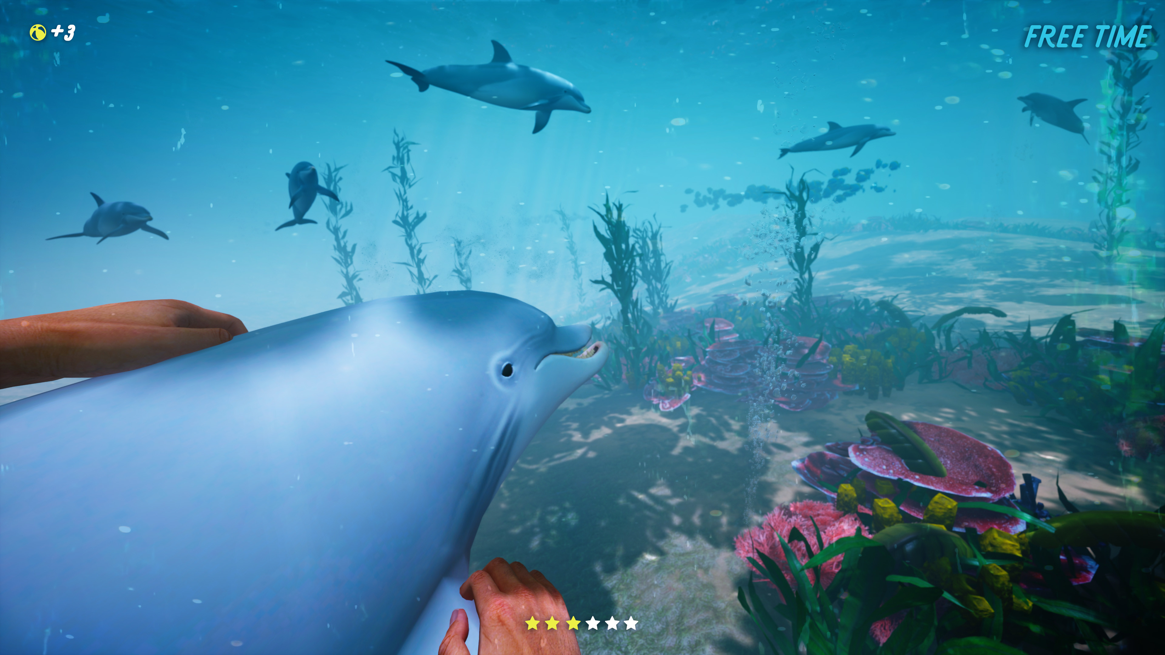 Dolphin Trainer VR screenshot