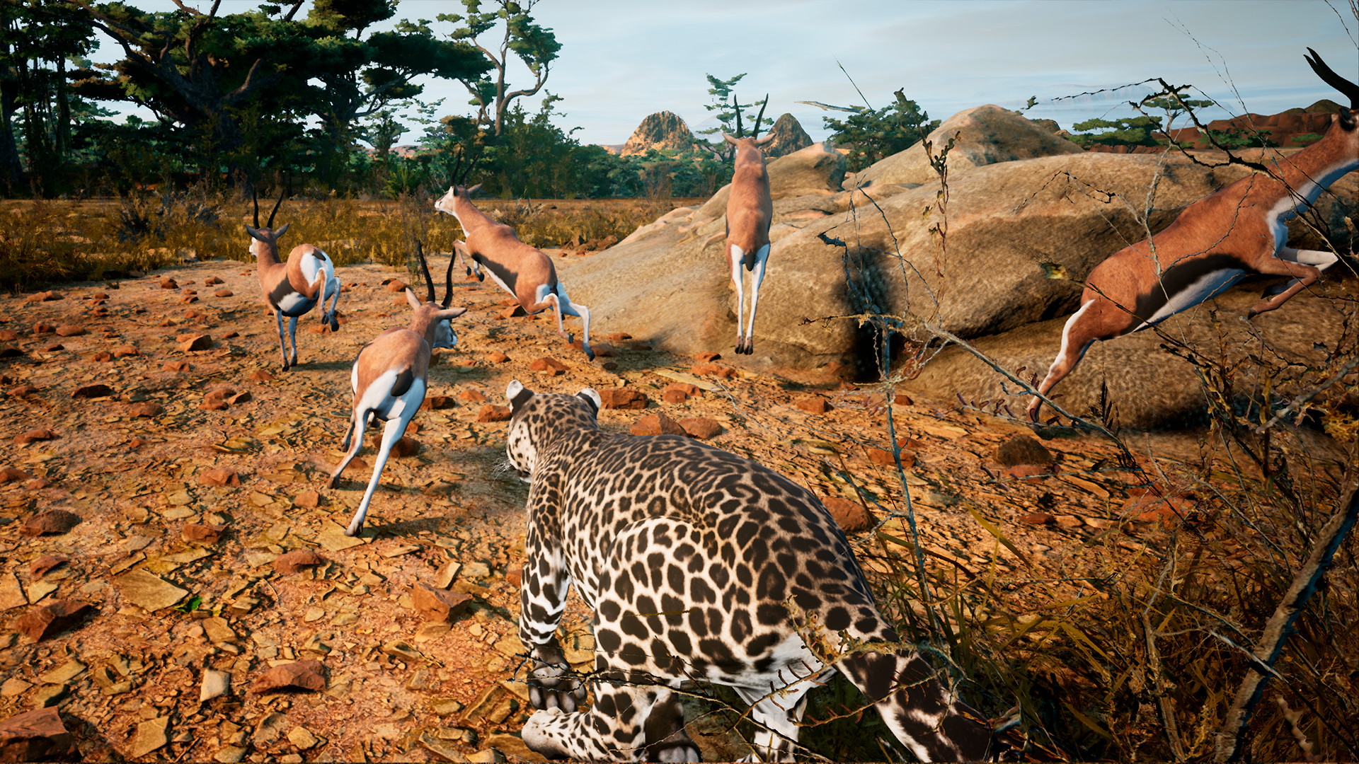 Animalia Survival screenshot