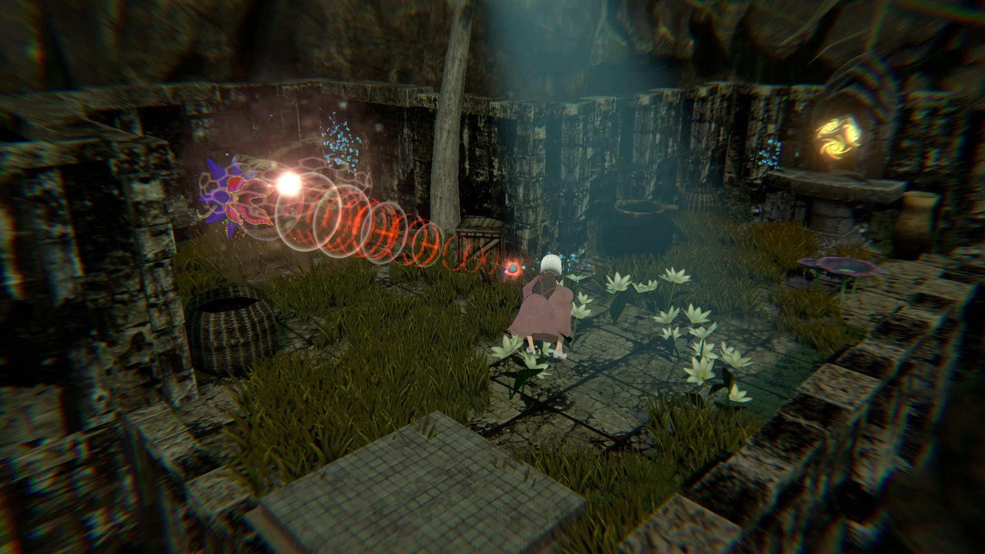 Amira screenshot