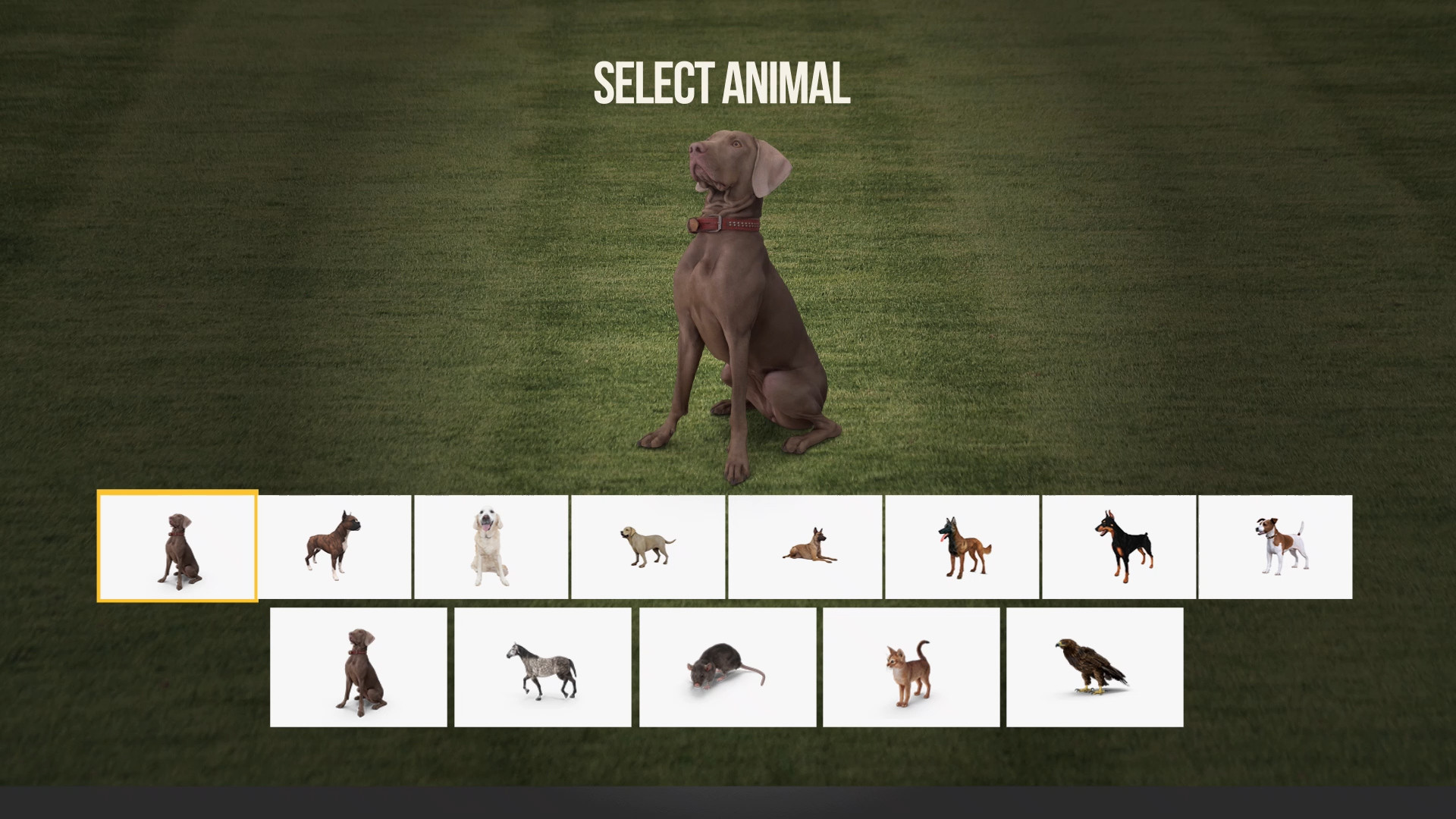 Animal Trainer screenshot