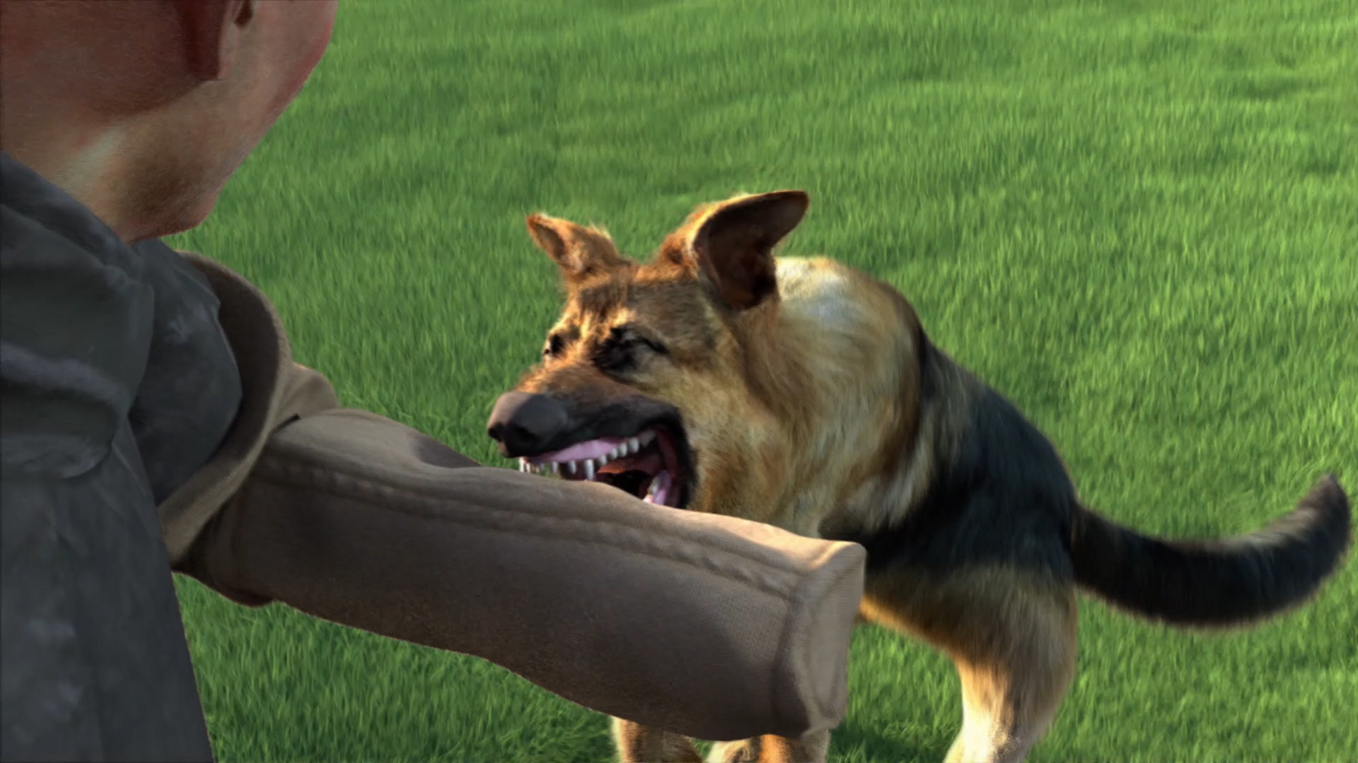 Animal Trainer screenshot