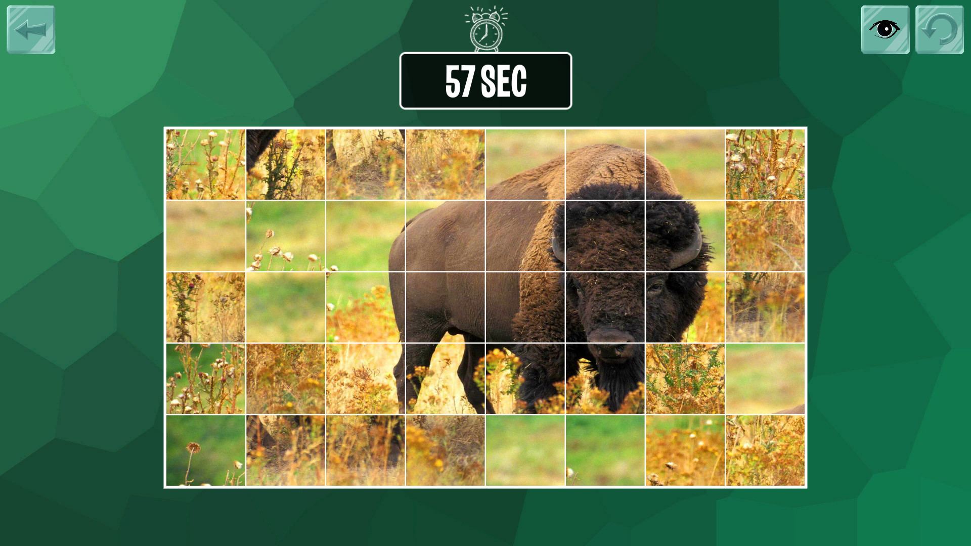 Easy puzzle: Animals 2 screenshot