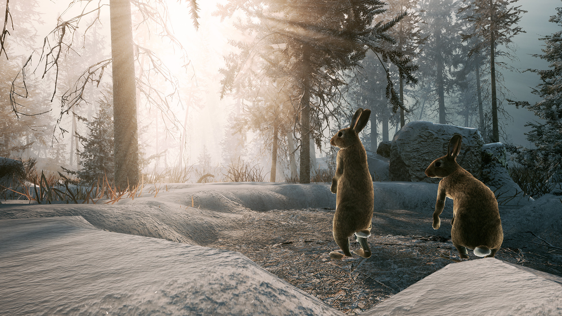 Winter Survival Simulator screenshot