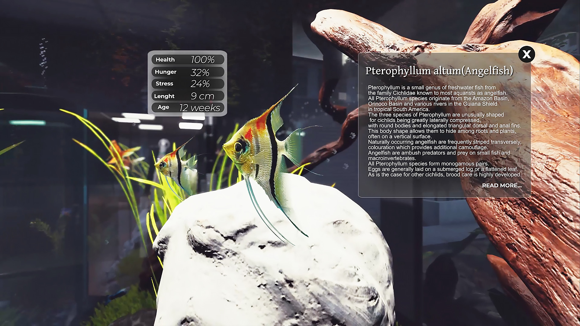 Aquarist - The Realistic aquarium shop management and fish farming. screenshot