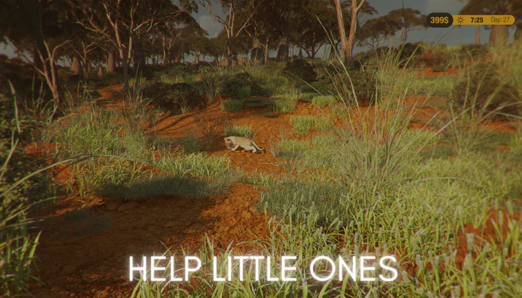Safari Park Ranger screenshot