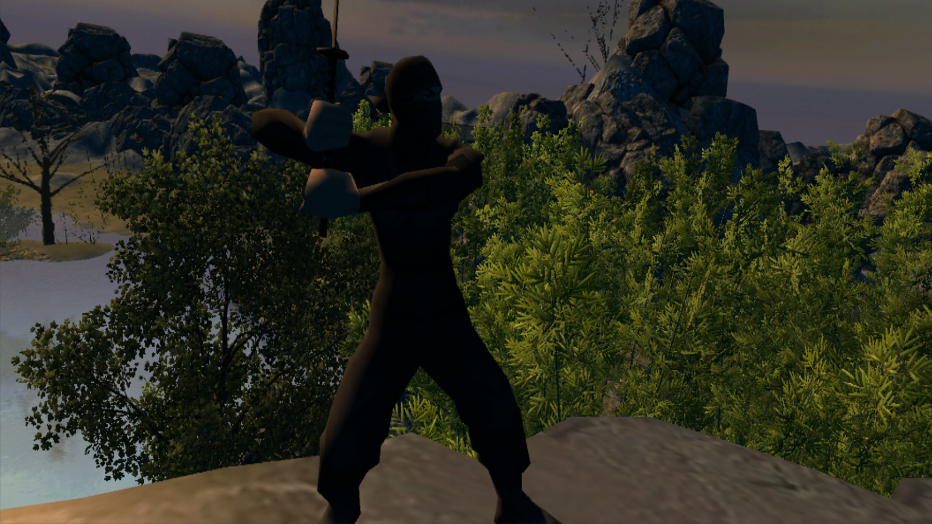 Aka Ninja VR screenshot