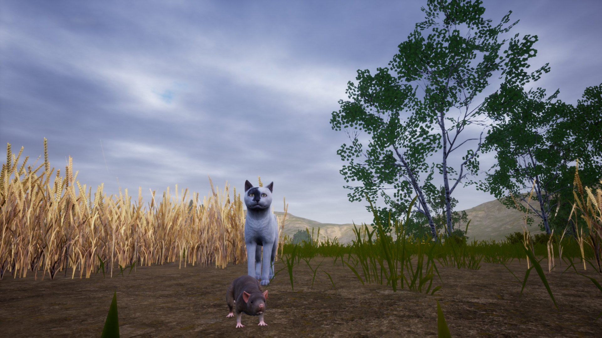 Cat Simulator: Meow screenshot