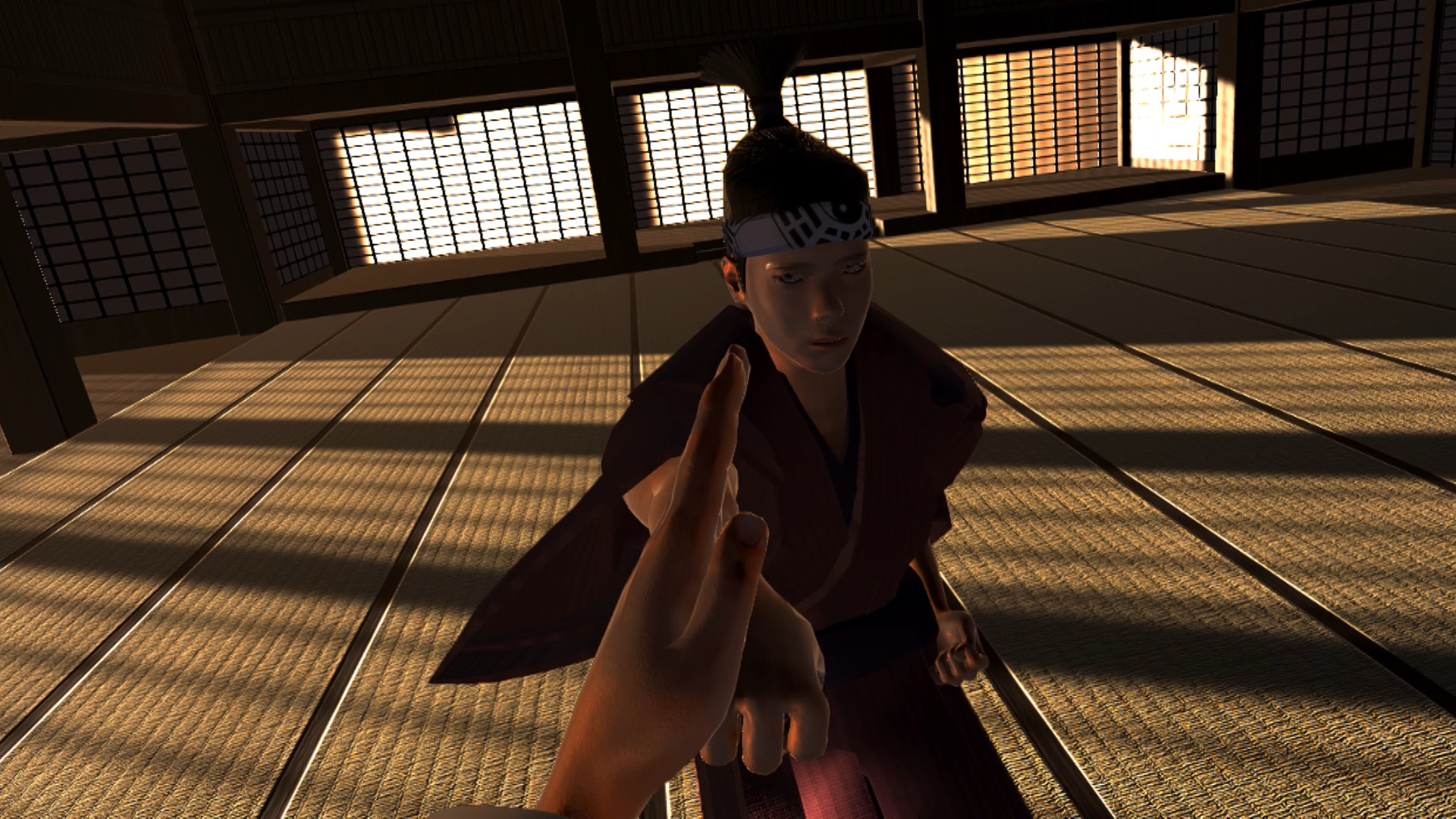 Dragon Fist: VR Kung Fu screenshot