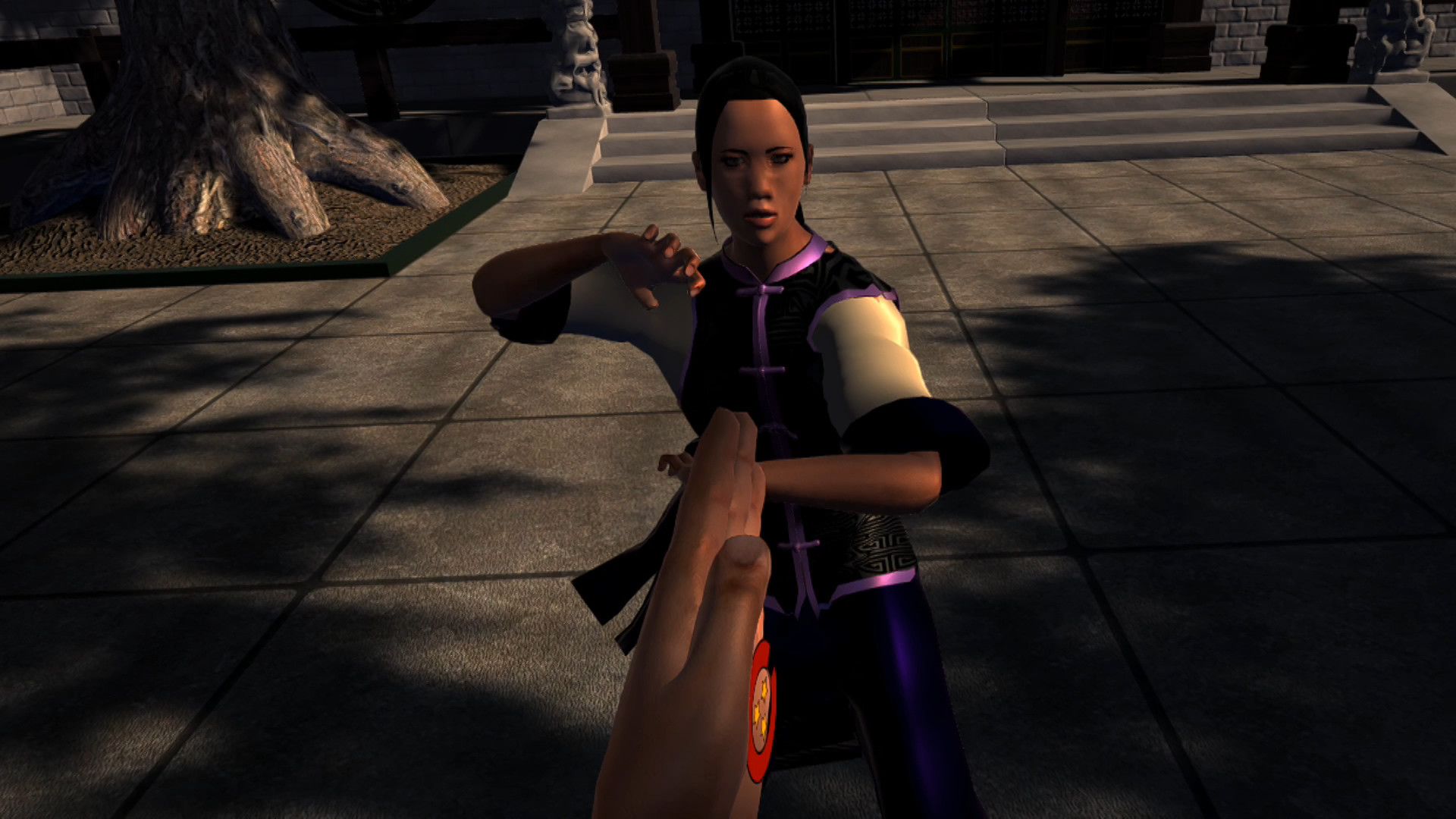 Dragon Fist: VR Kung Fu screenshot
