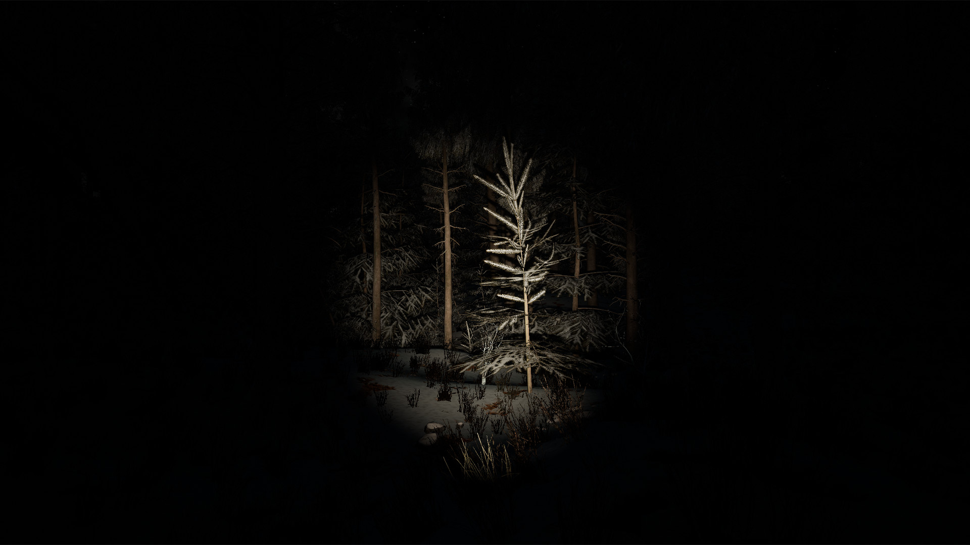 Unknown Woods screenshot