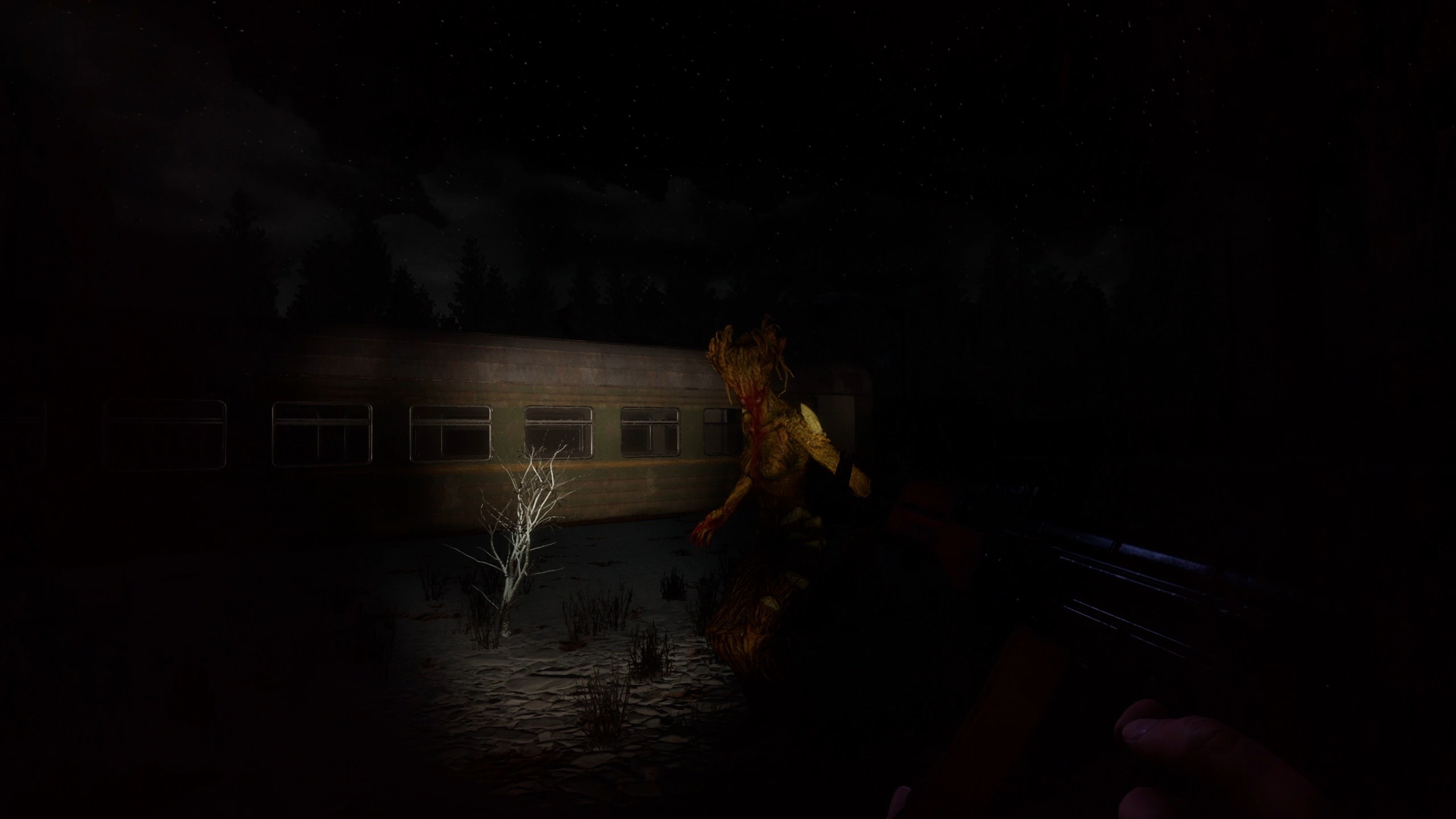 Unknown Woods screenshot