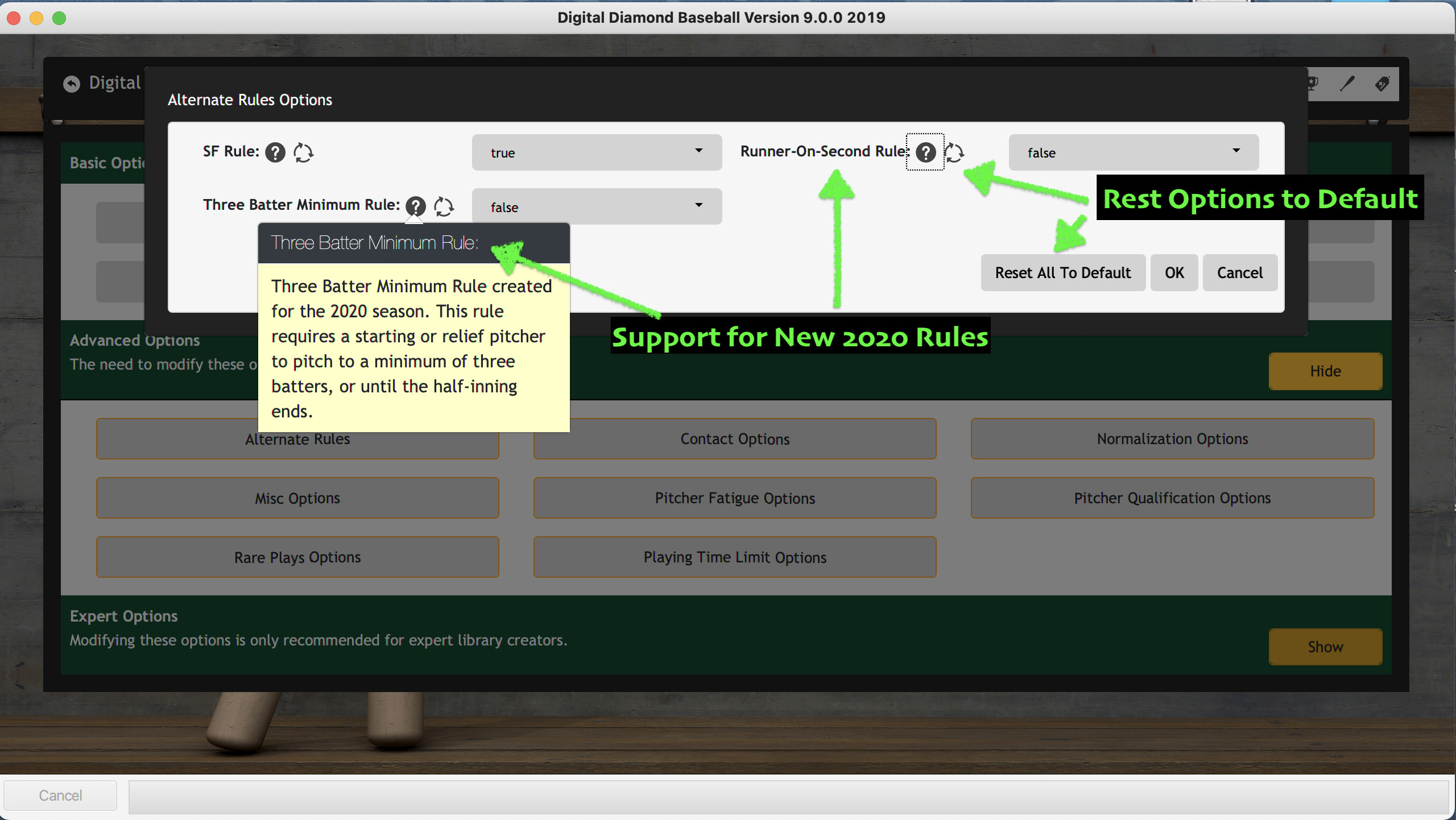 Digital Diamond Baseball V9 screenshot