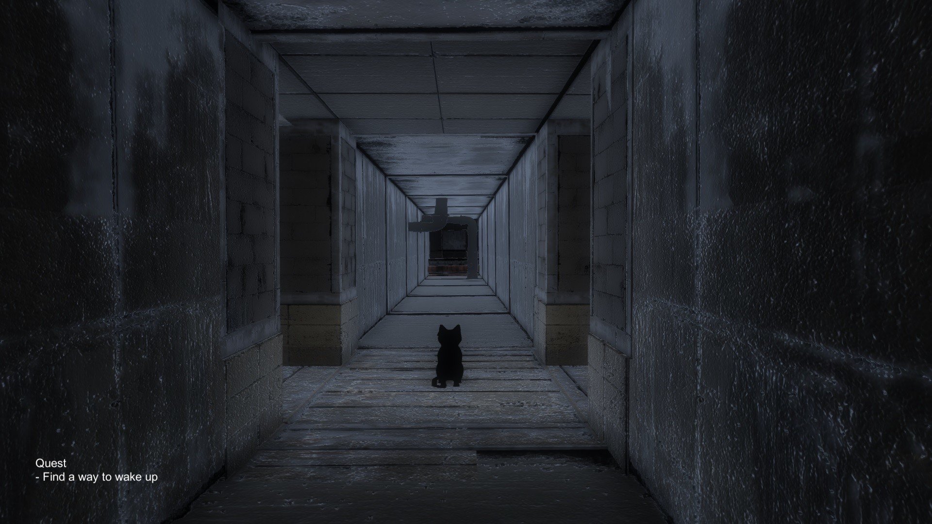 Black Cat screenshot