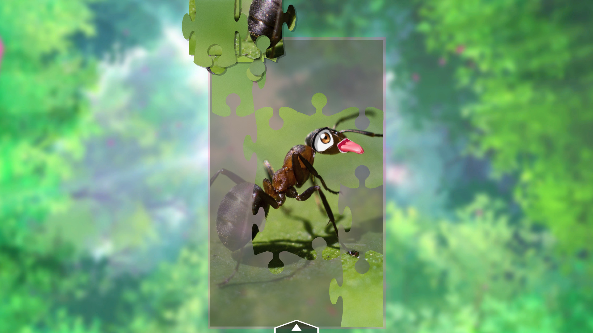 My Sweet Ants! screenshot