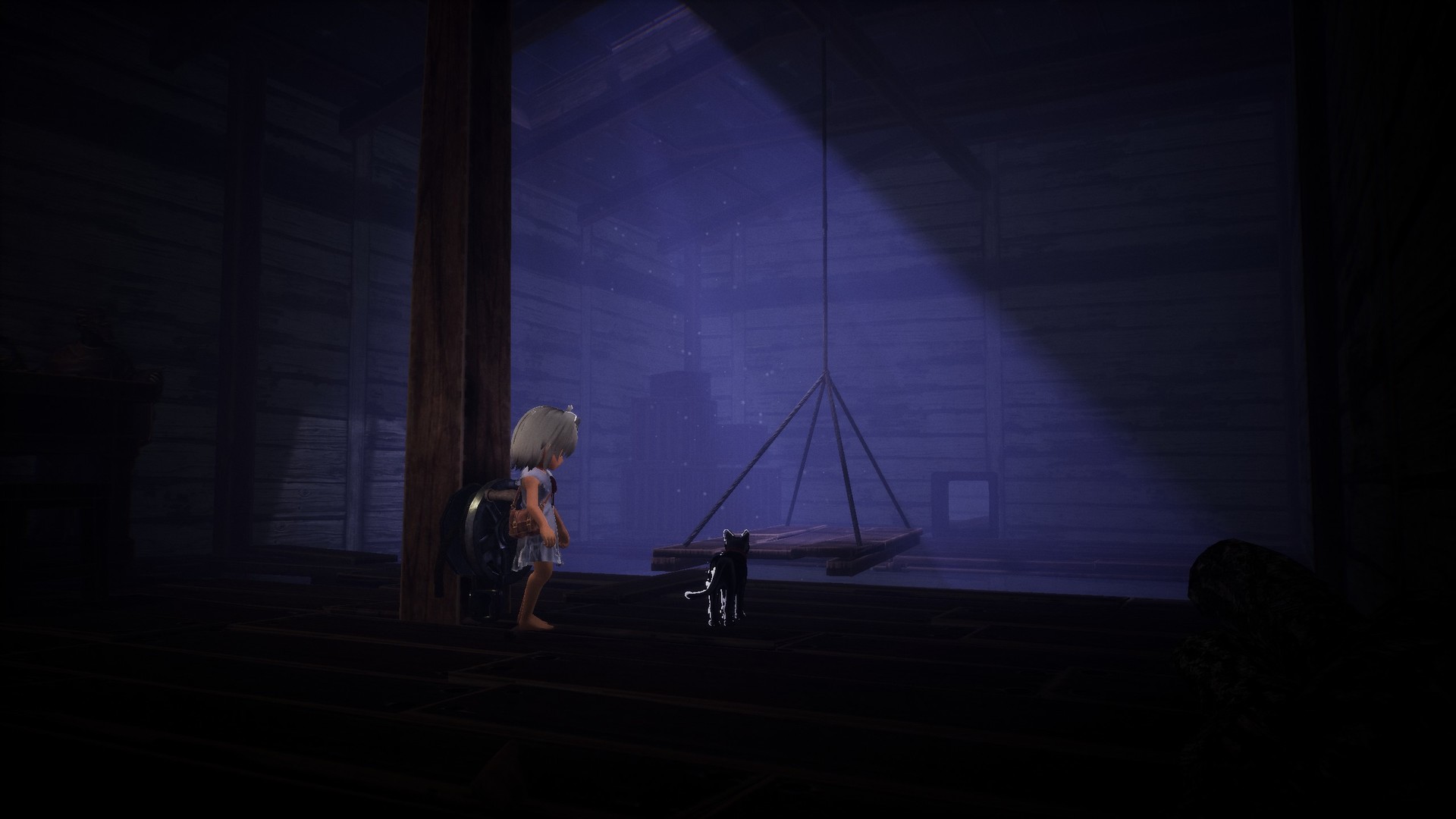 LIGHT?Black Cat & Amnesia Girl Free Download
