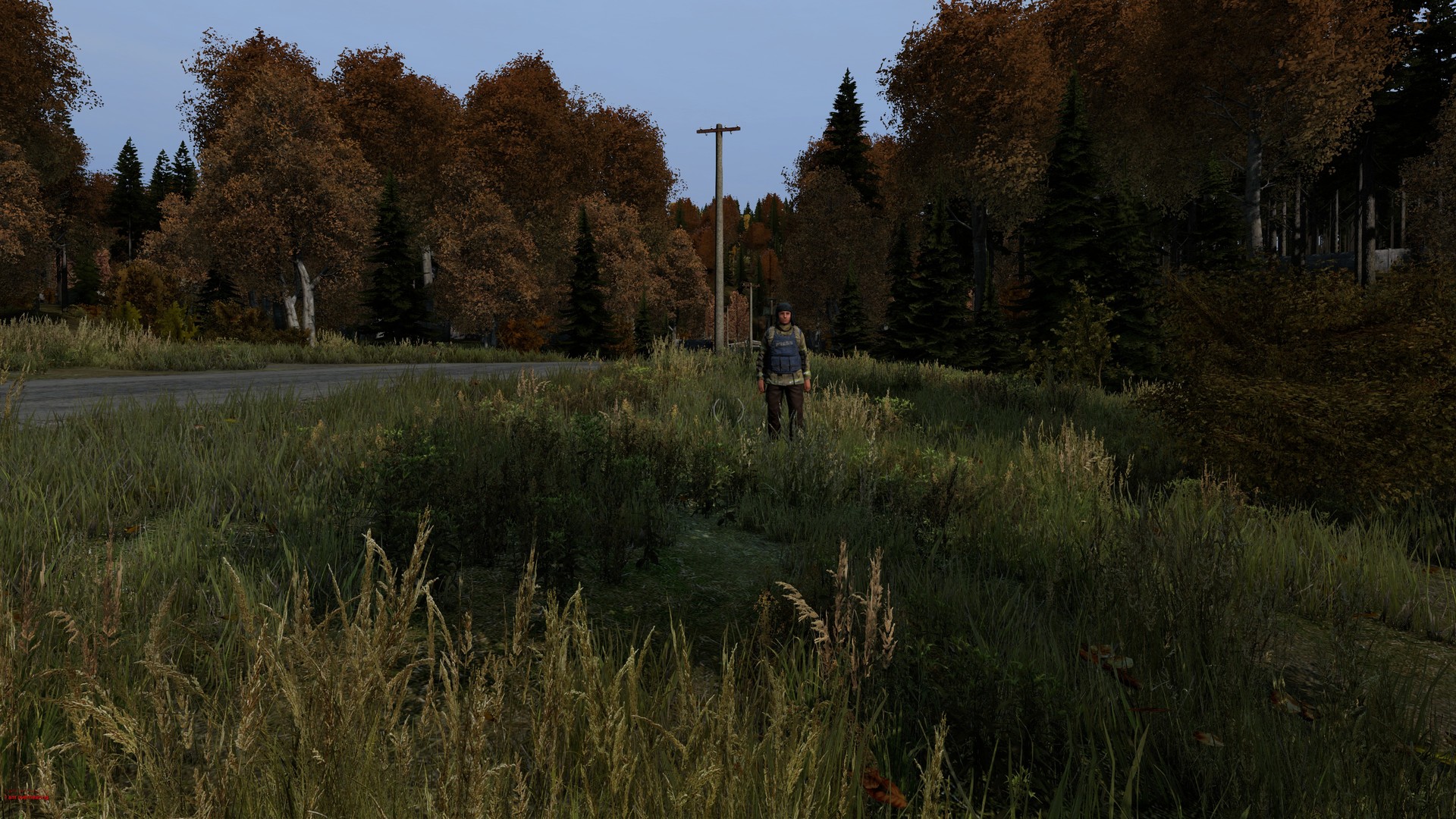 DayZ Images 