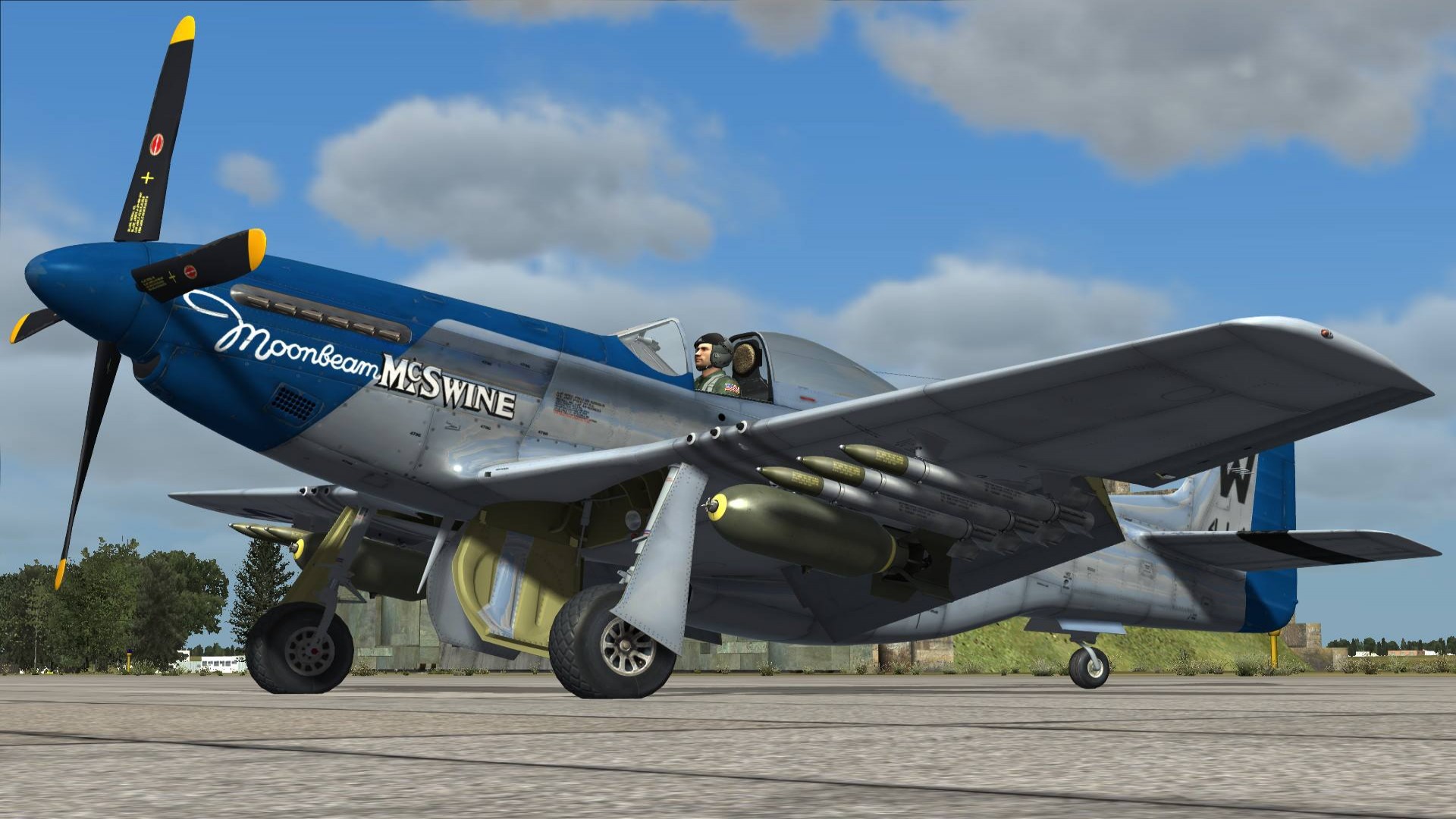 DCS: P-51D Mustang screenshot