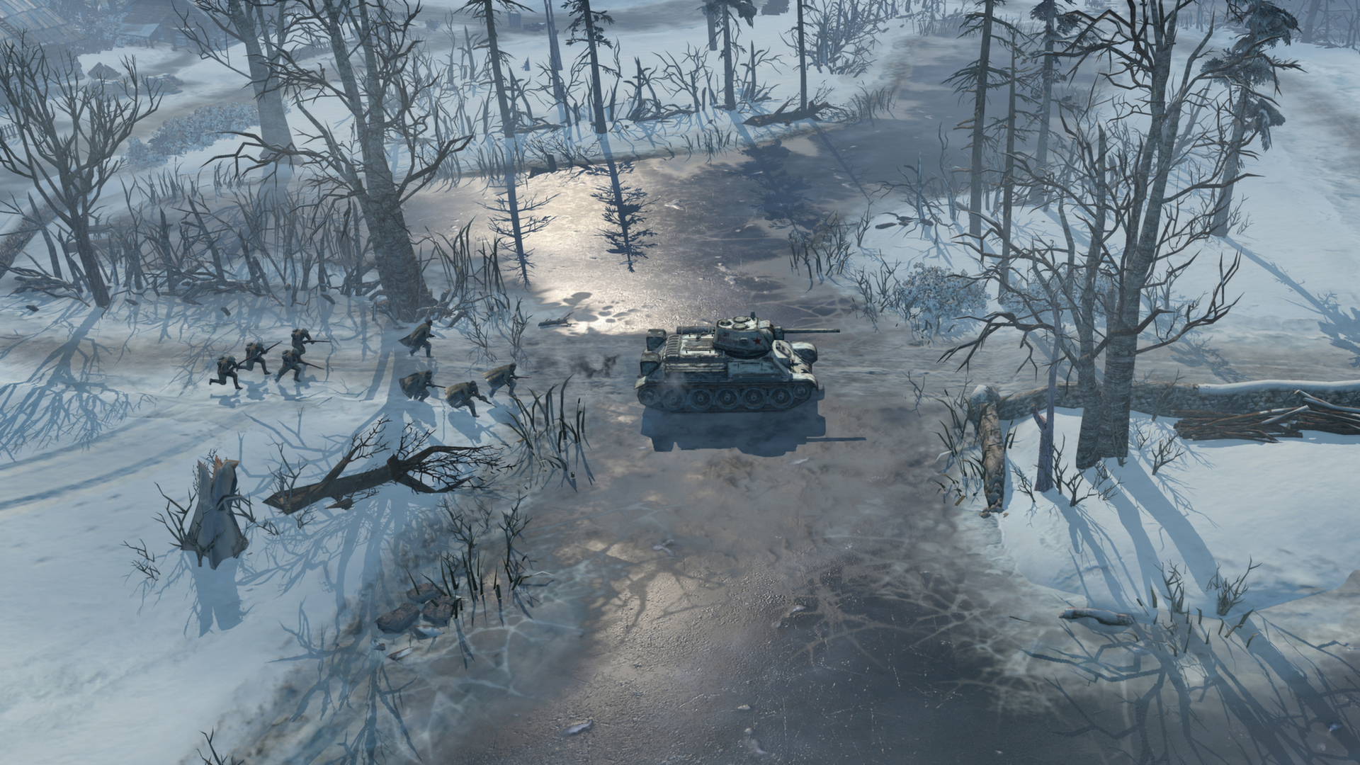 Company of Heroes 2 Resimleri 